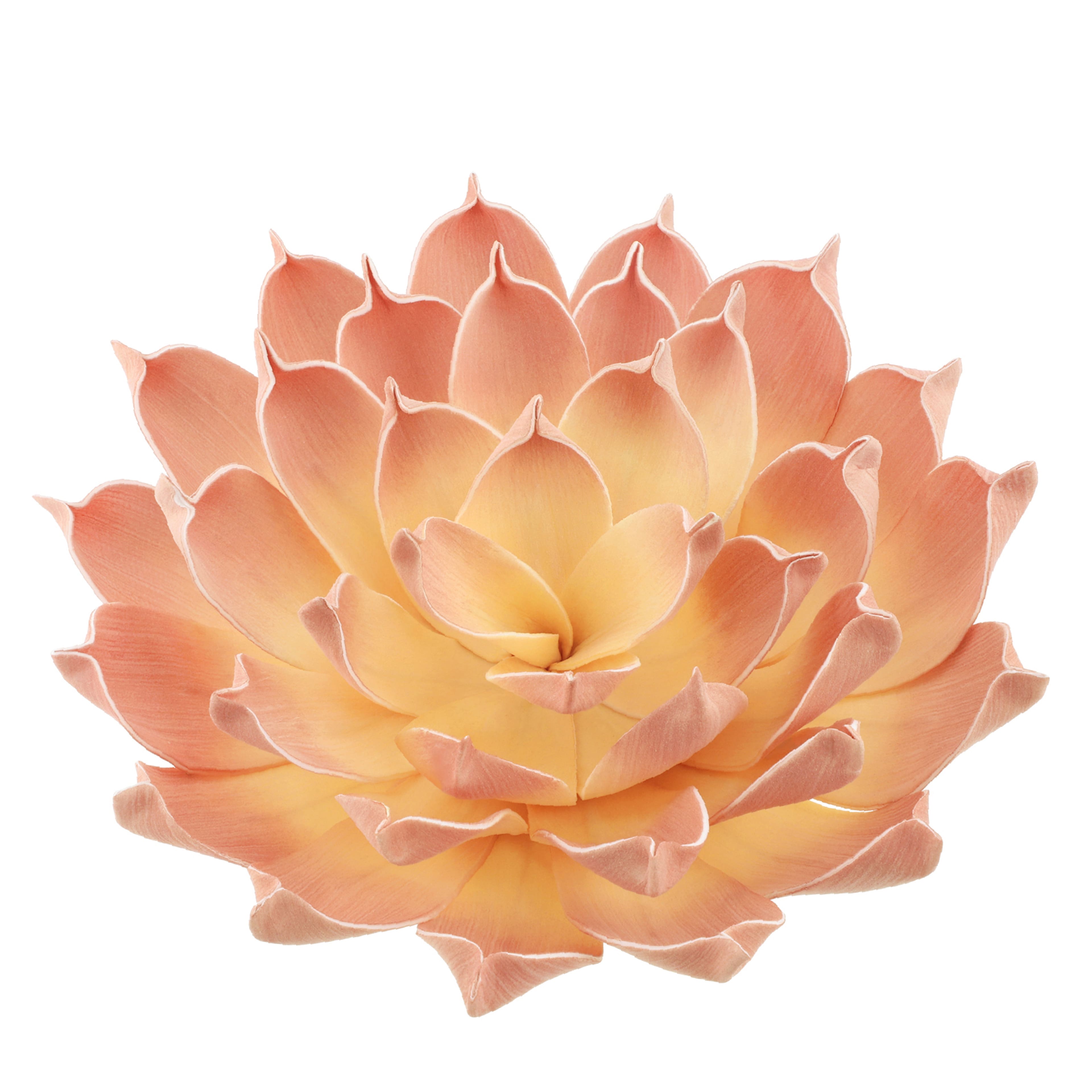 12.5&#x22; Peach Decorative Succulent by Ashland&#xAE;
