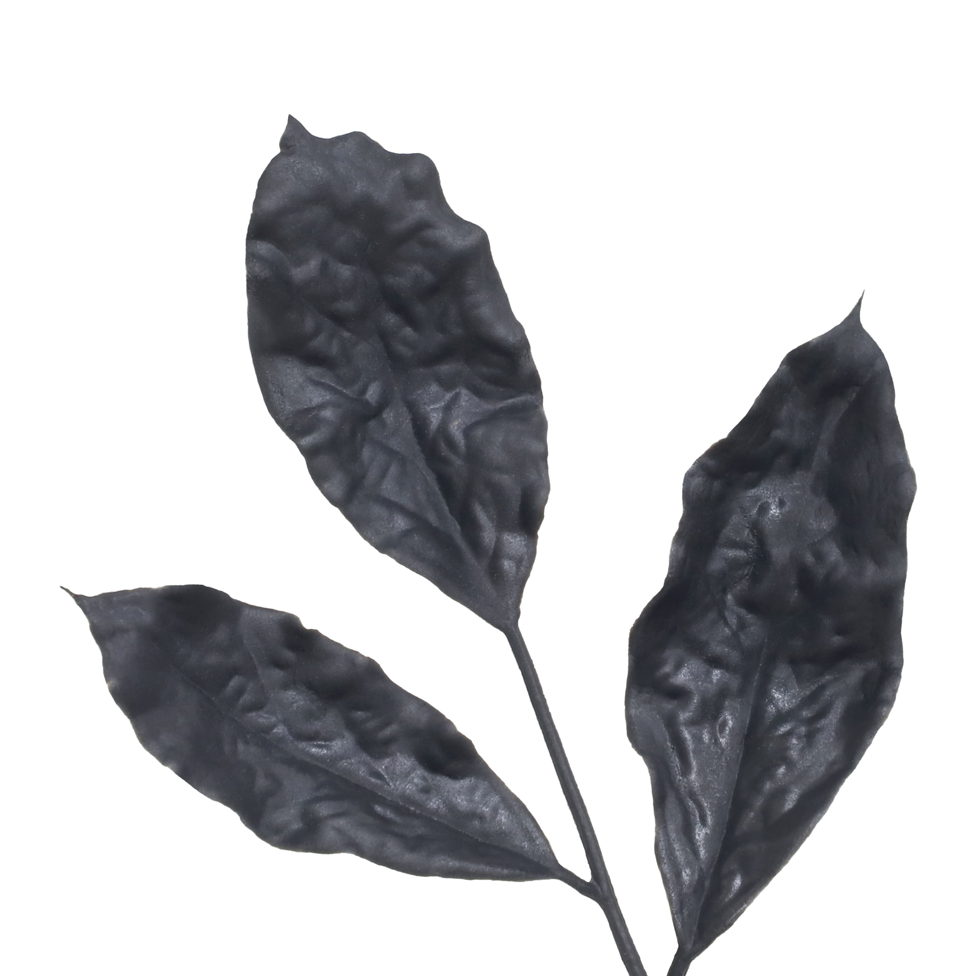 11" Black Dried Leaves Pick by Ashland®