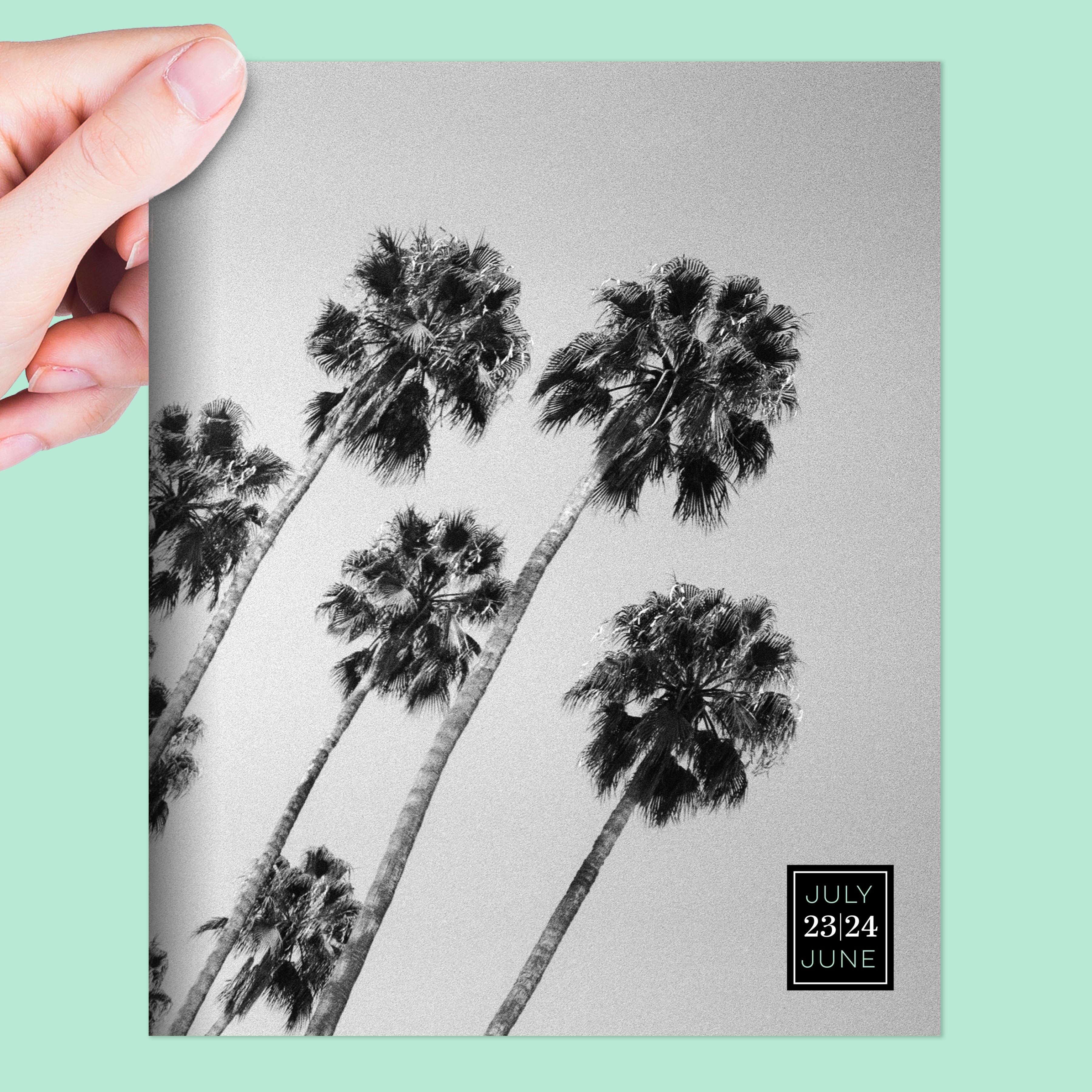 TF Publishing 2023-2024 Palms Medium Monthly Planner