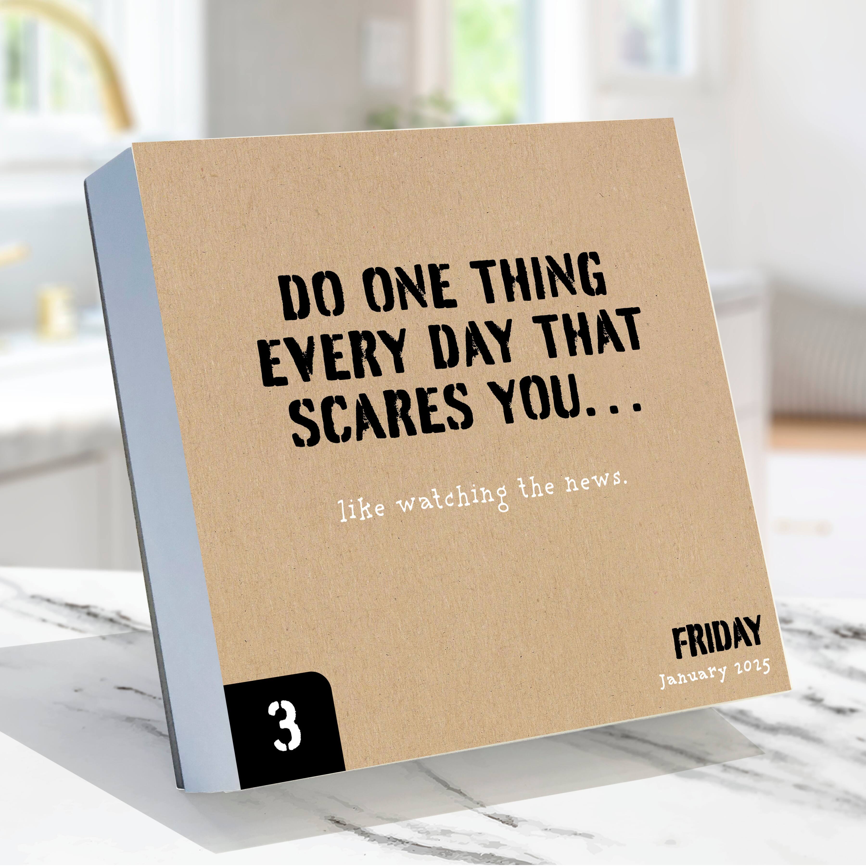 TF Publishing 2025 Anti Affirmations Daily Desktop Calendar