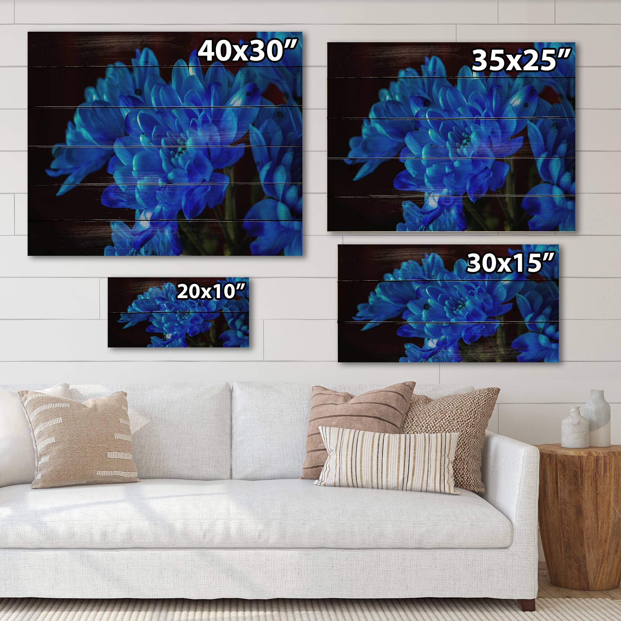 Designart - Blue Chrysanthemum Flowers On Black II - Traditional Print on Natural Pine Wood