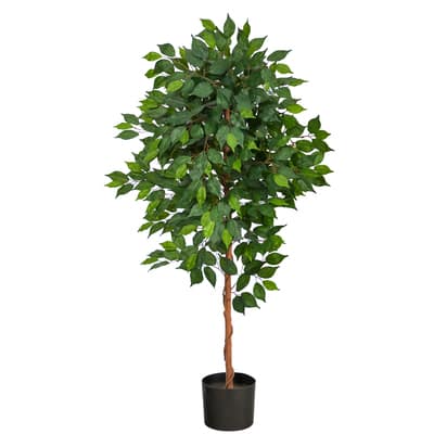 4ft. Potted Ficus Tree | Michaels