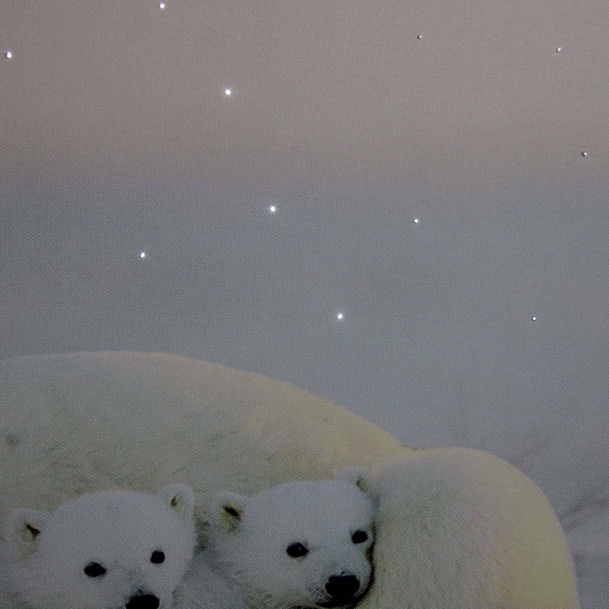 Fiber Optic Mama Polar Bear & Cubs Canvas Wall Art