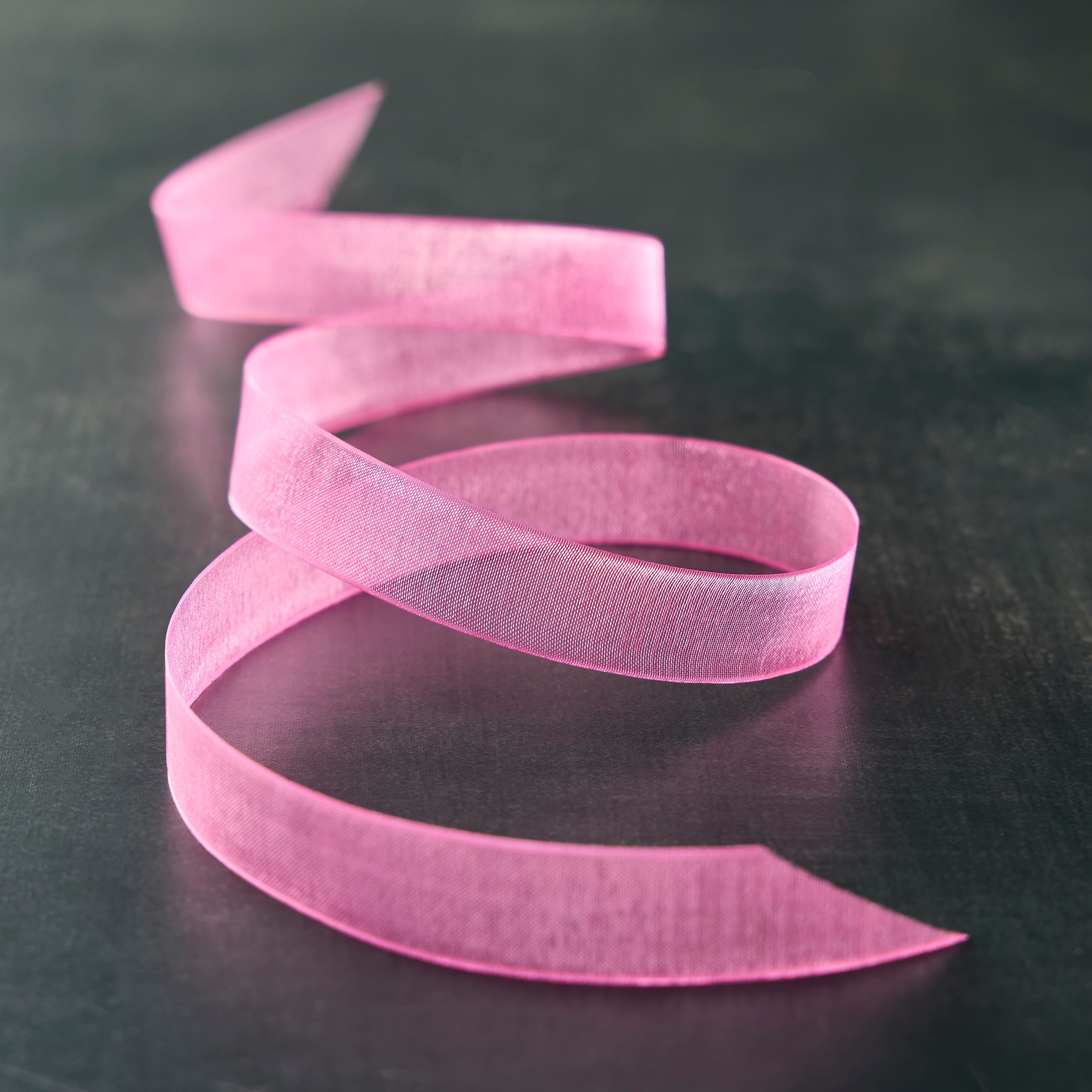 5/8&#x22; x 7yd. Sheer Organza Ribbon by Celebrate It&#xAE; Classic