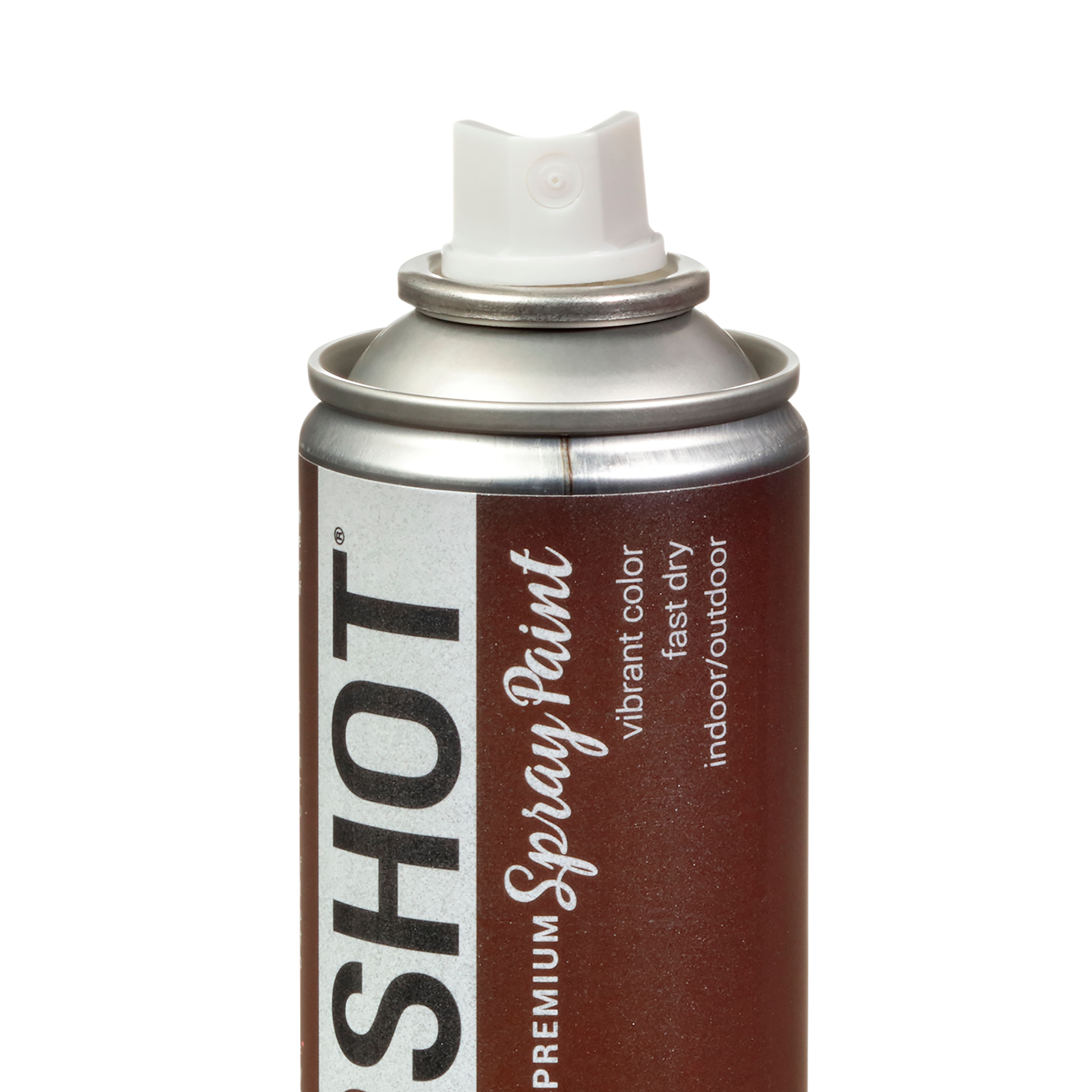 COLORSHOT&#xAE; Premium Metallic Spray Paint