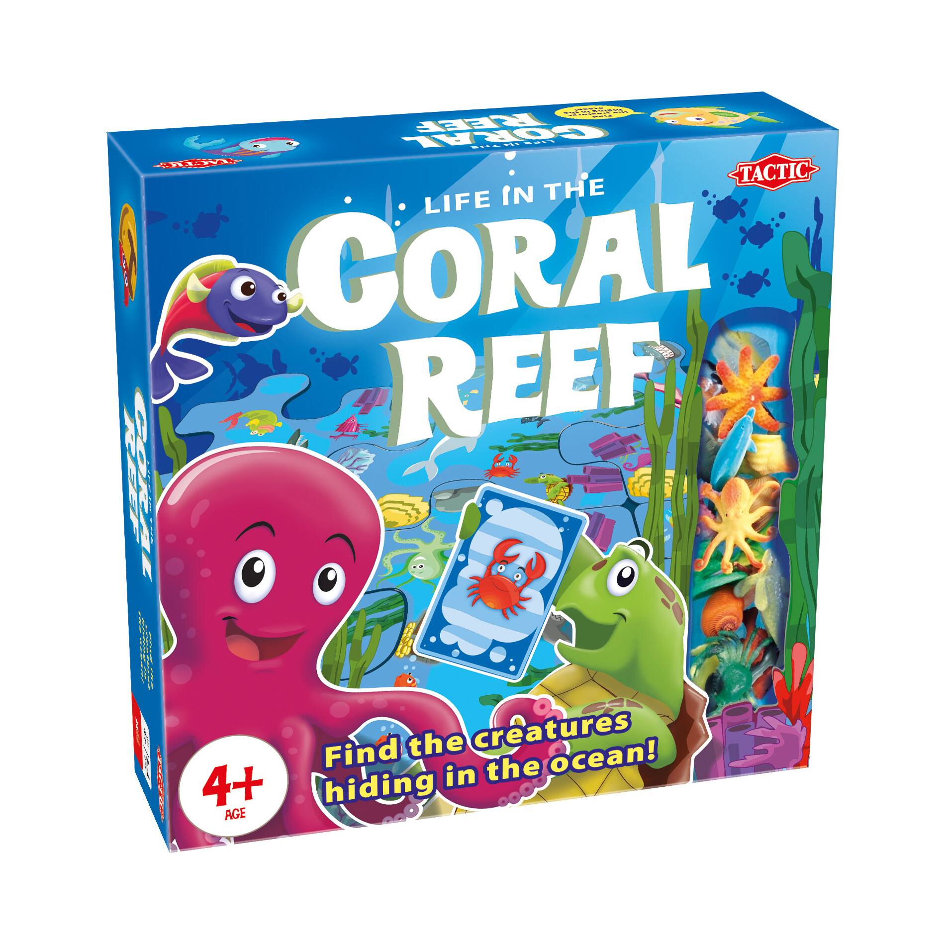 Life in the Coral Reef