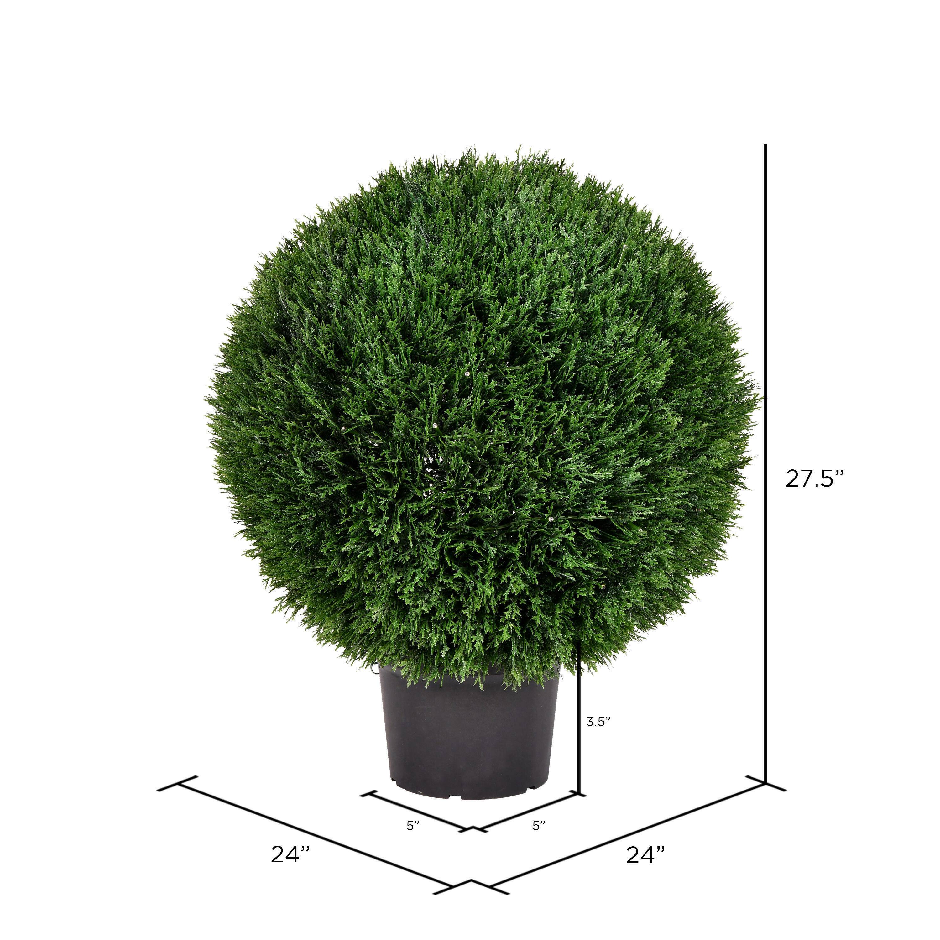 2ft. Potted Green Cedar Ball