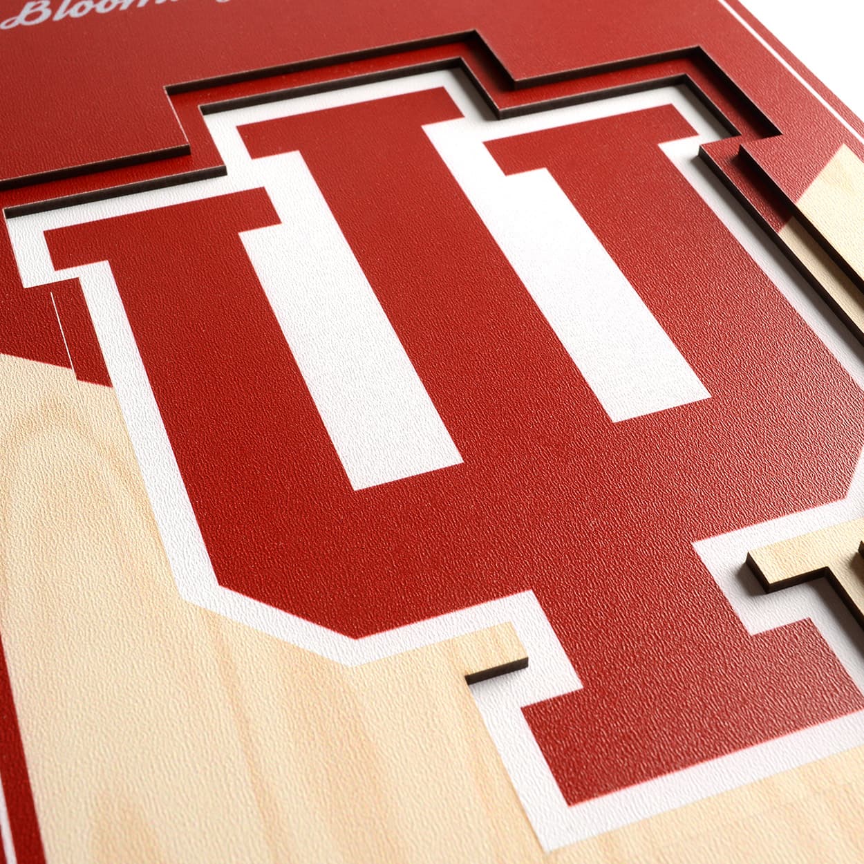 College 3D StadiumView Banner