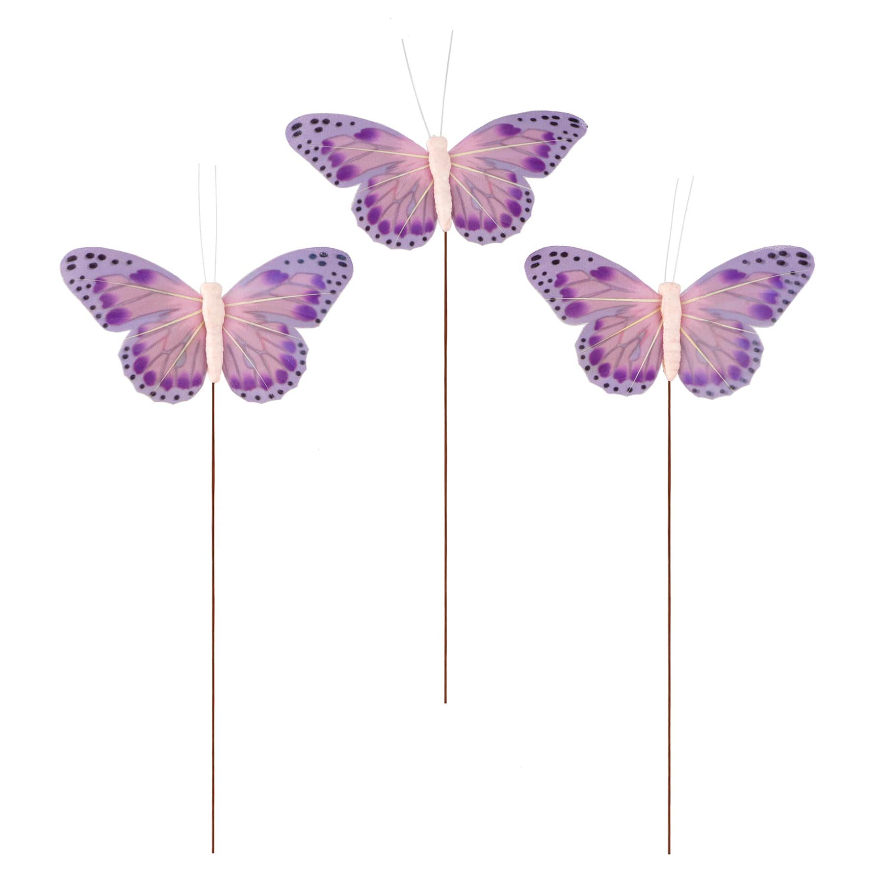 Feather Butterflies, 3ct. by Ashland&#xAE;