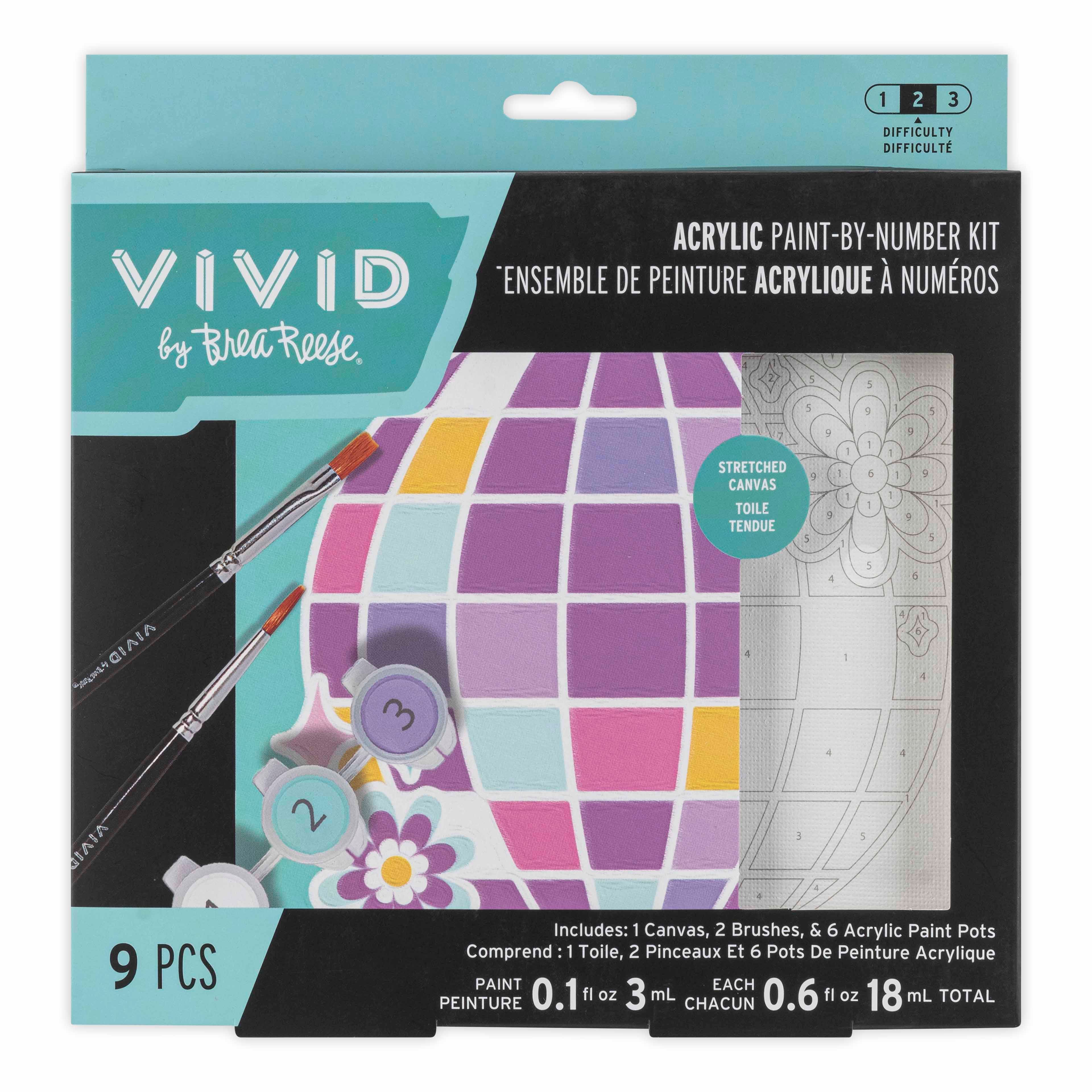 VIVID by Brea Reese® Disco Acrylic Paint-by-Number Kit