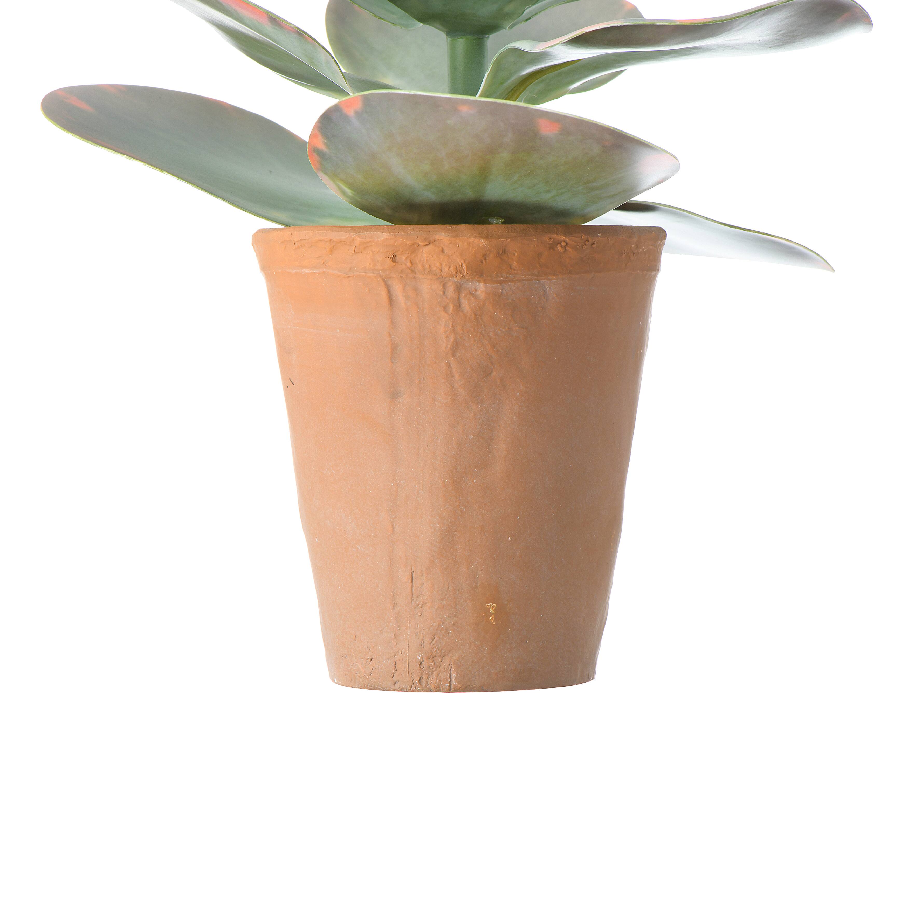 18&#x22; Faux Succulent in Terra Cotta Colored Pot