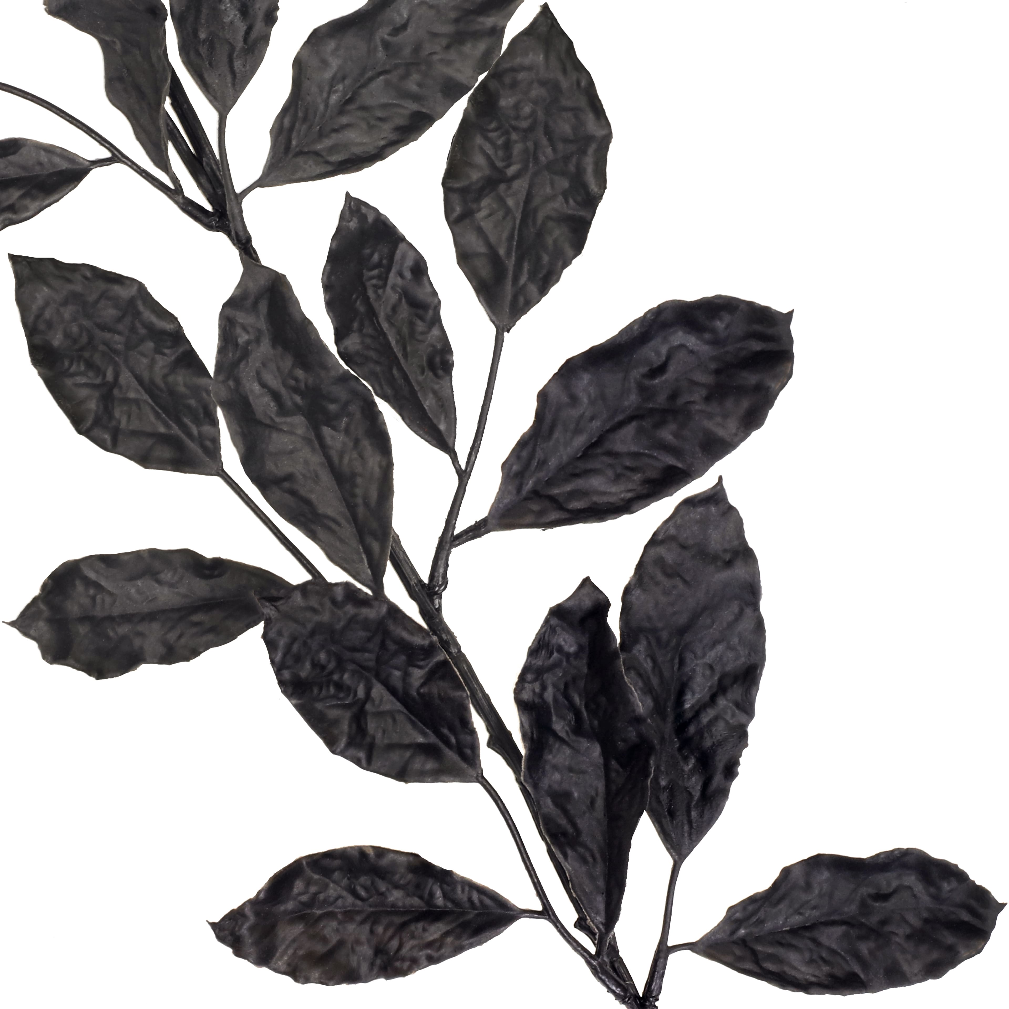 6ft. Black Leaves Garland by Ashland&#xAE;