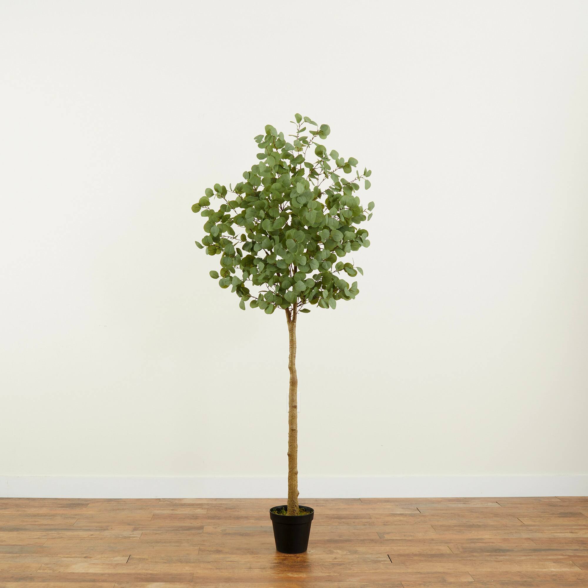 7ft. Potted Artificial Eucalyptus Tree