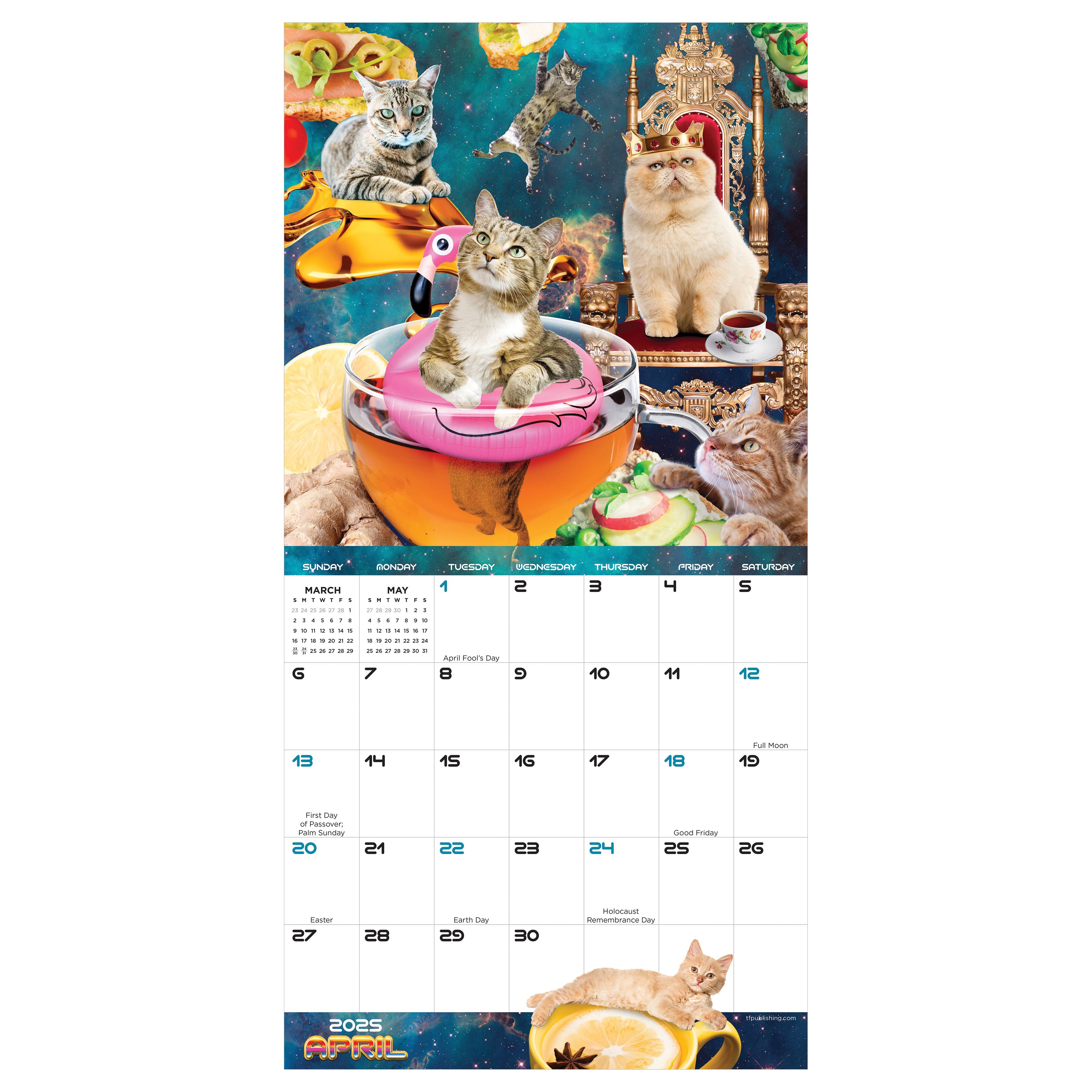 TF Publishing 2025 Space Cats Mini Calendar
