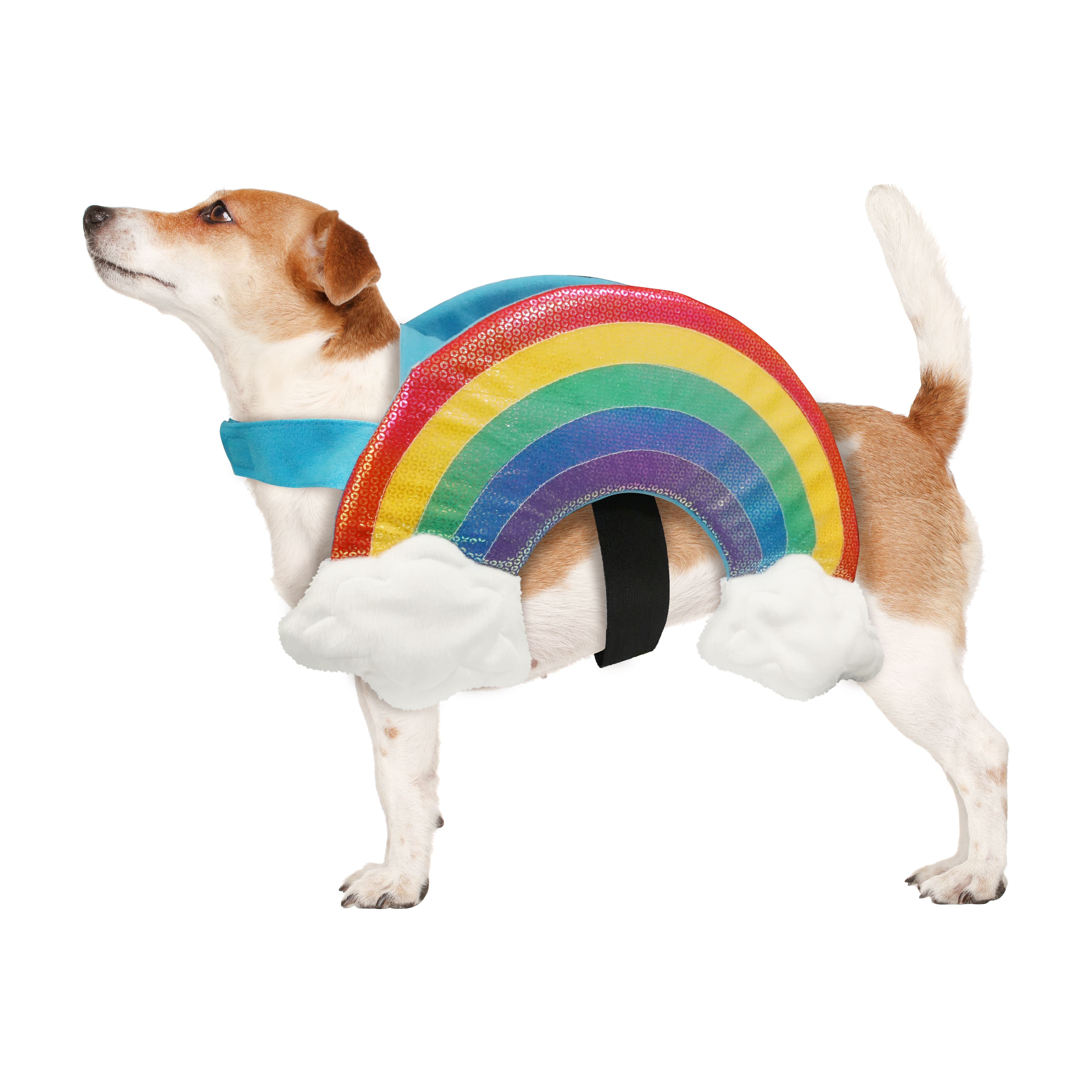 Best Furry Friends Rainbow Pet Costume