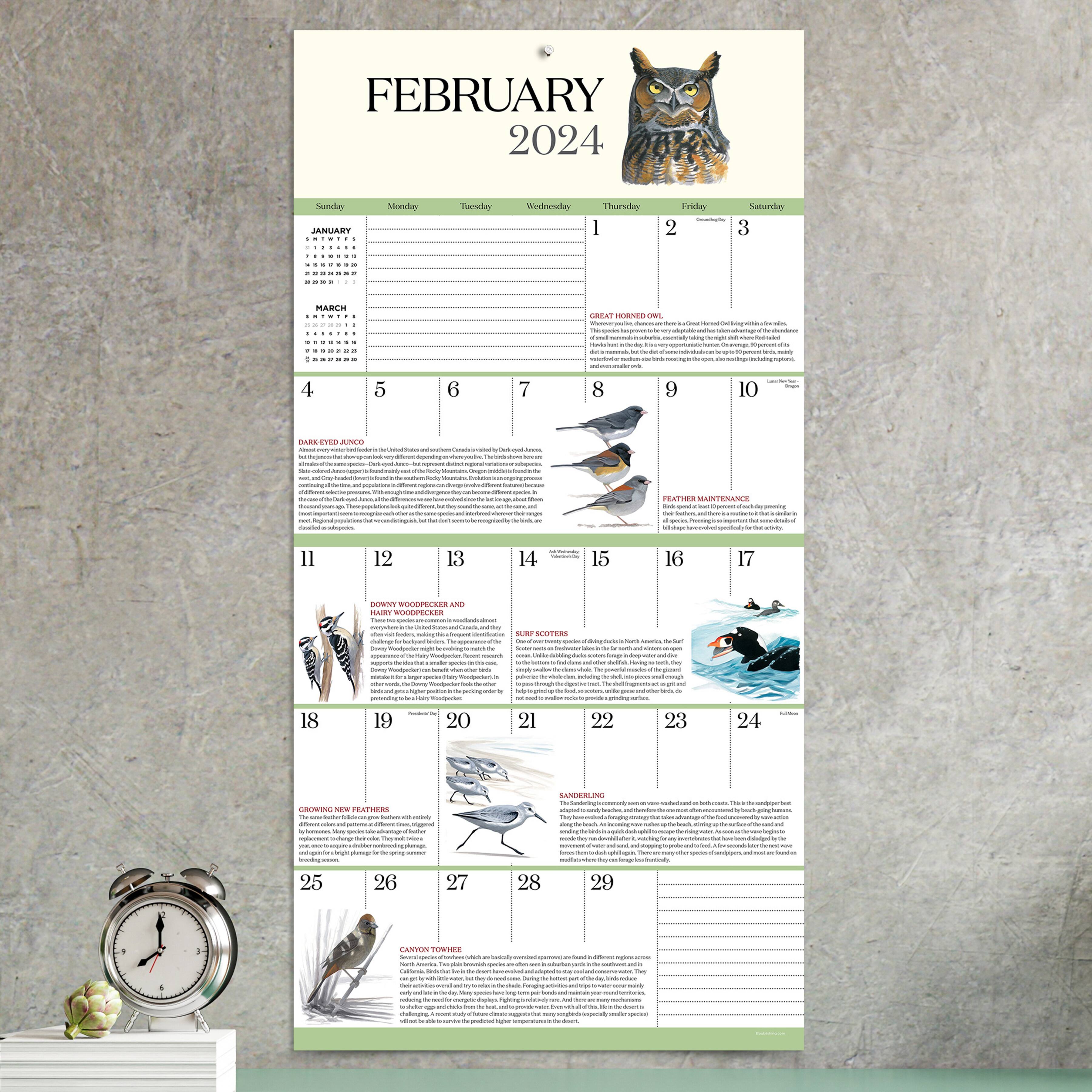 TF Publishing 2024 What It's Like To Be A Bird Wall Calendar