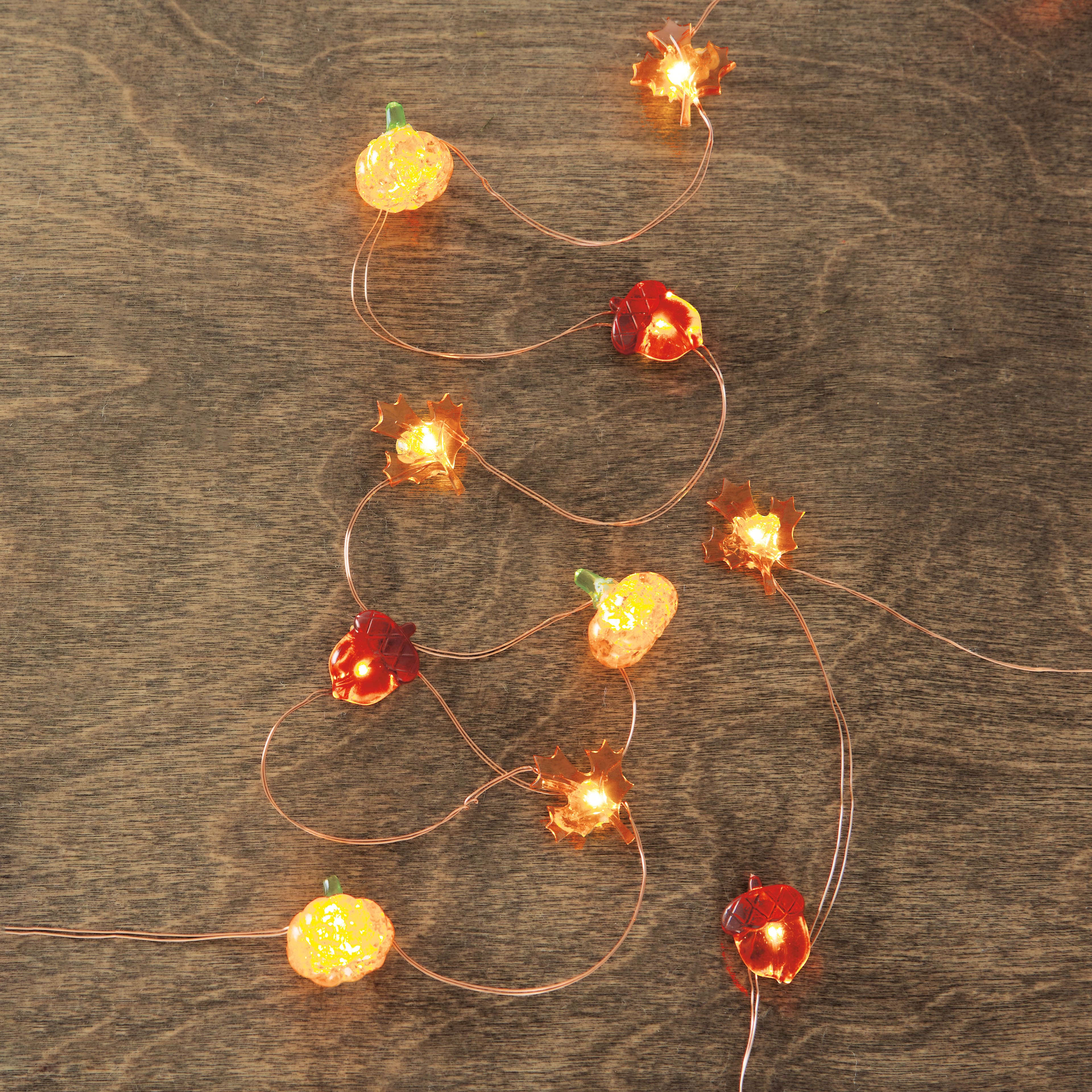 18ct. Warm White LED Mixed Fall Icons String Lights by Ashland&#xAE;