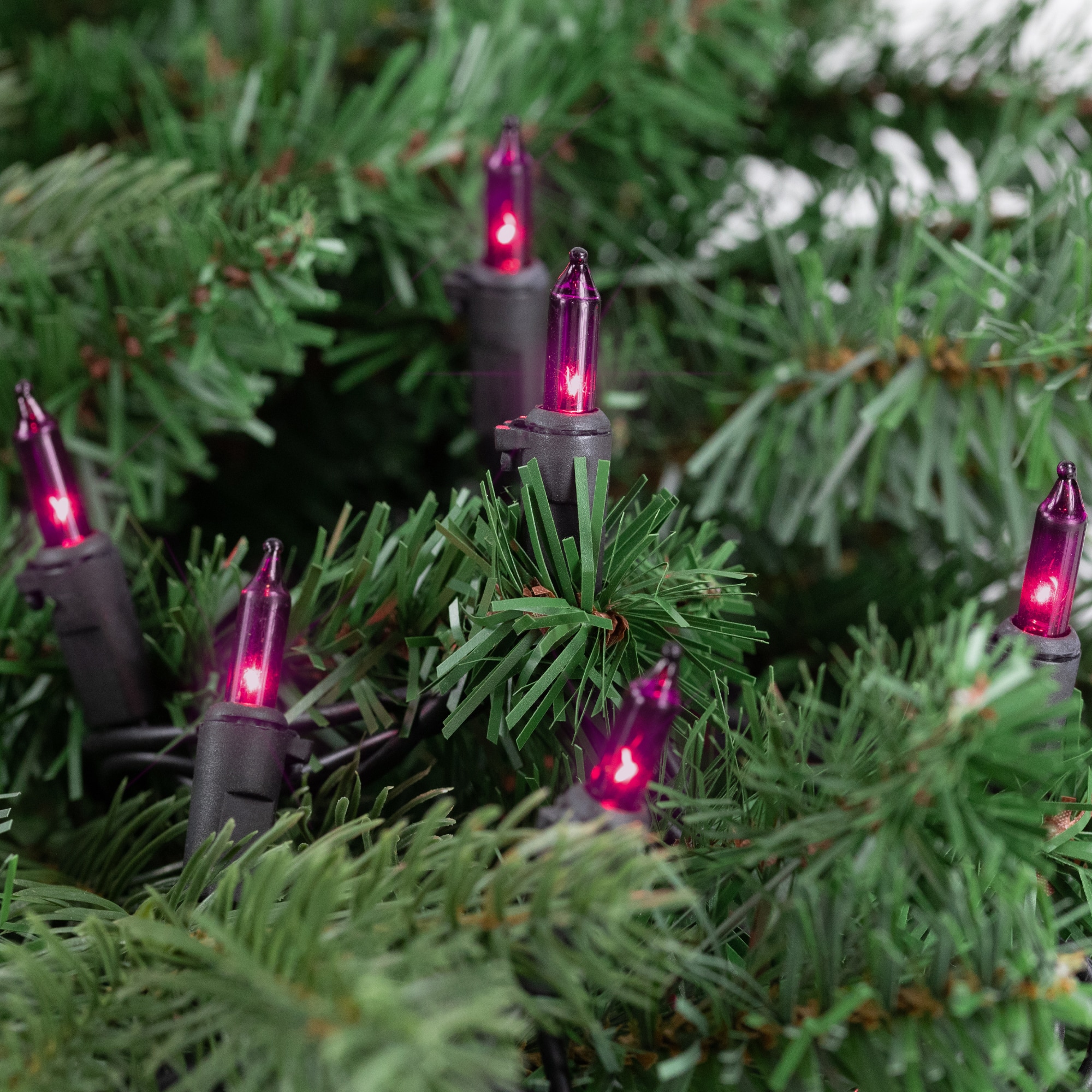 50ct. Mini Christmas String Lights with Black Wire