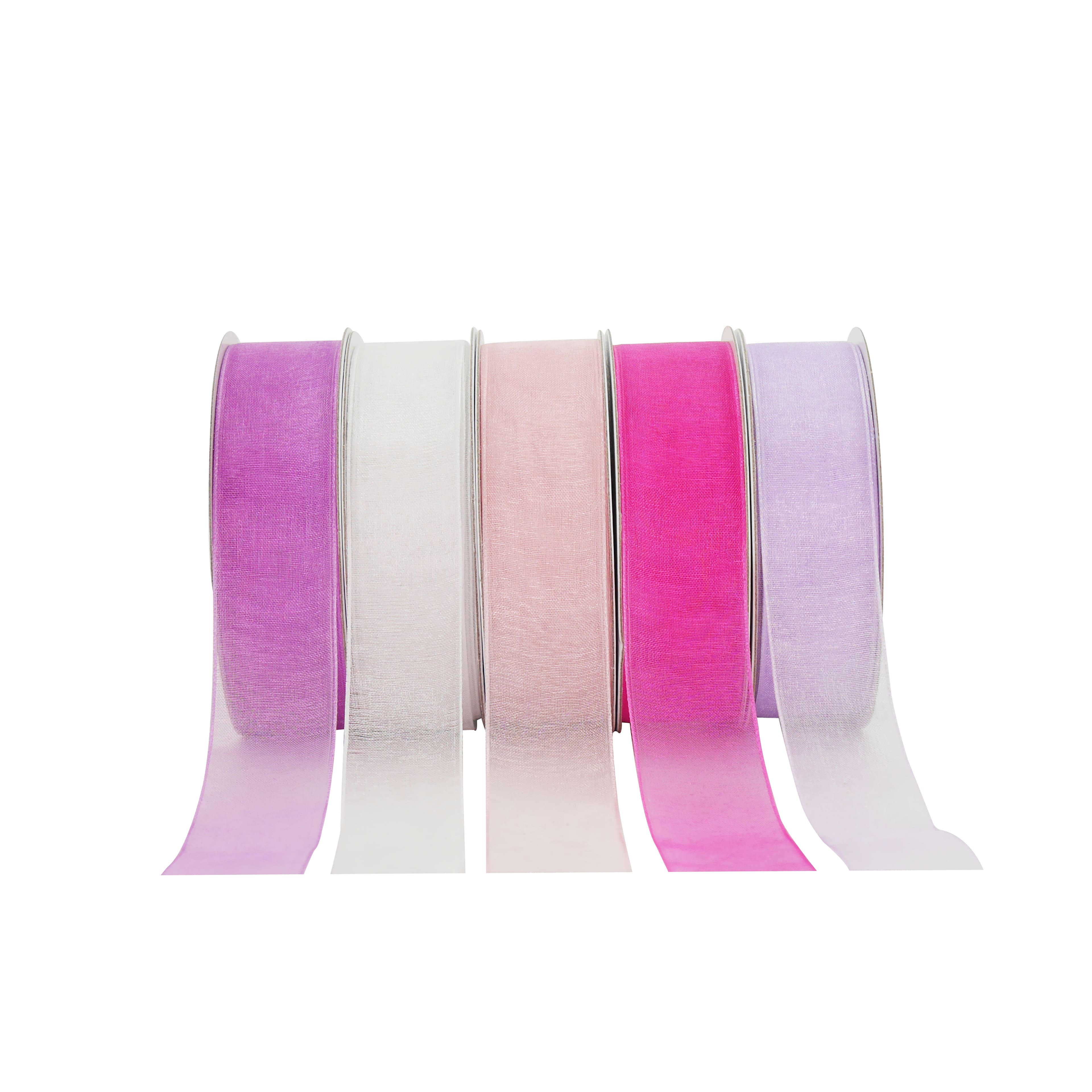 5 Color Sheer Value Pack Ribbon by Celebrate It&#xAE;