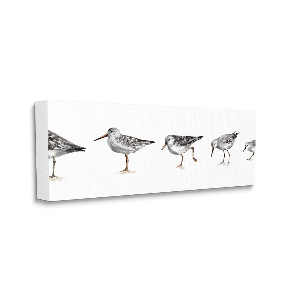 Stupell Industries Sandpiper Bird Stances Minimal Grey White Painting Canvas Wall Art