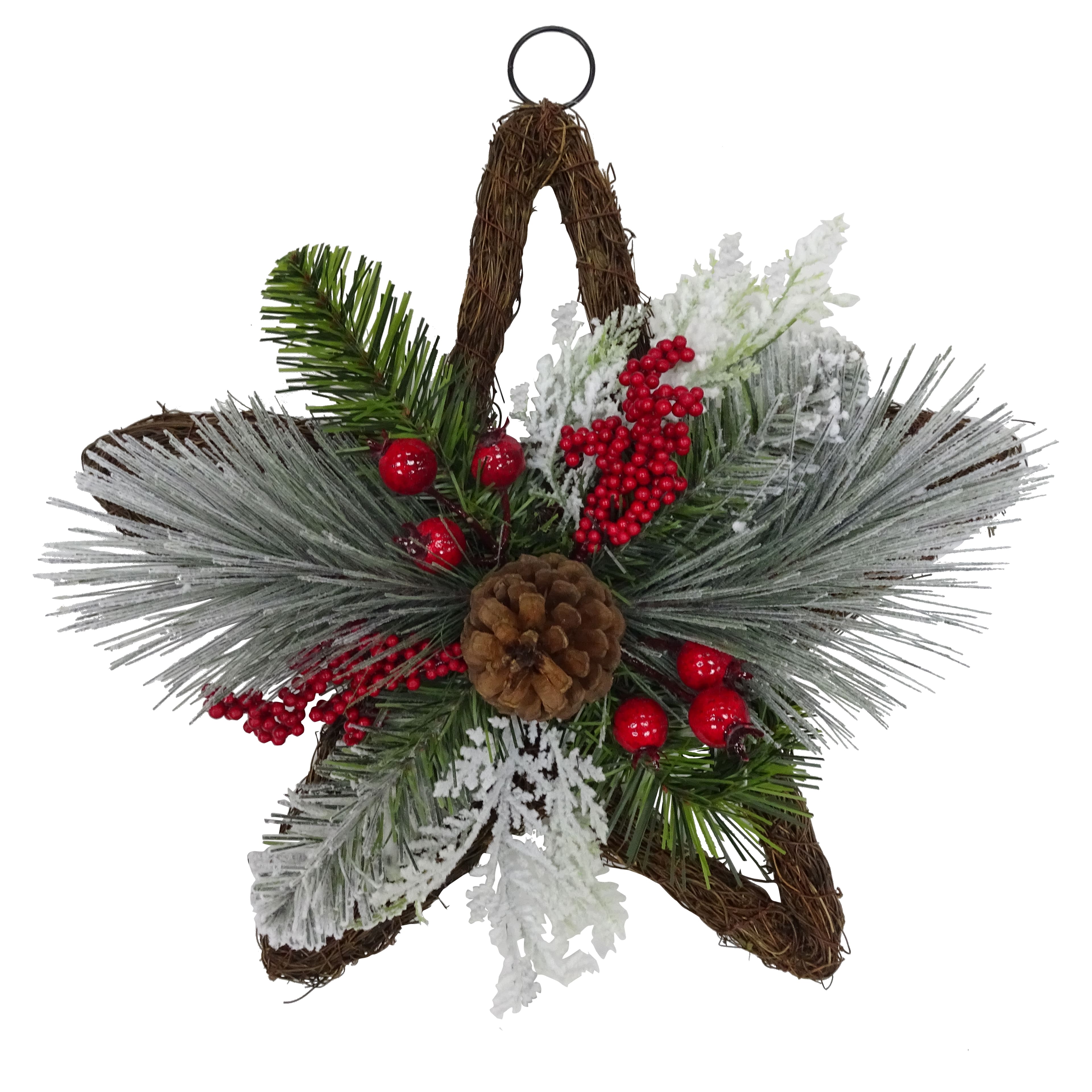 16&#x22; Red Berry &#x26; Flocked Pine Grapevine Star by Ashland&#xAE;