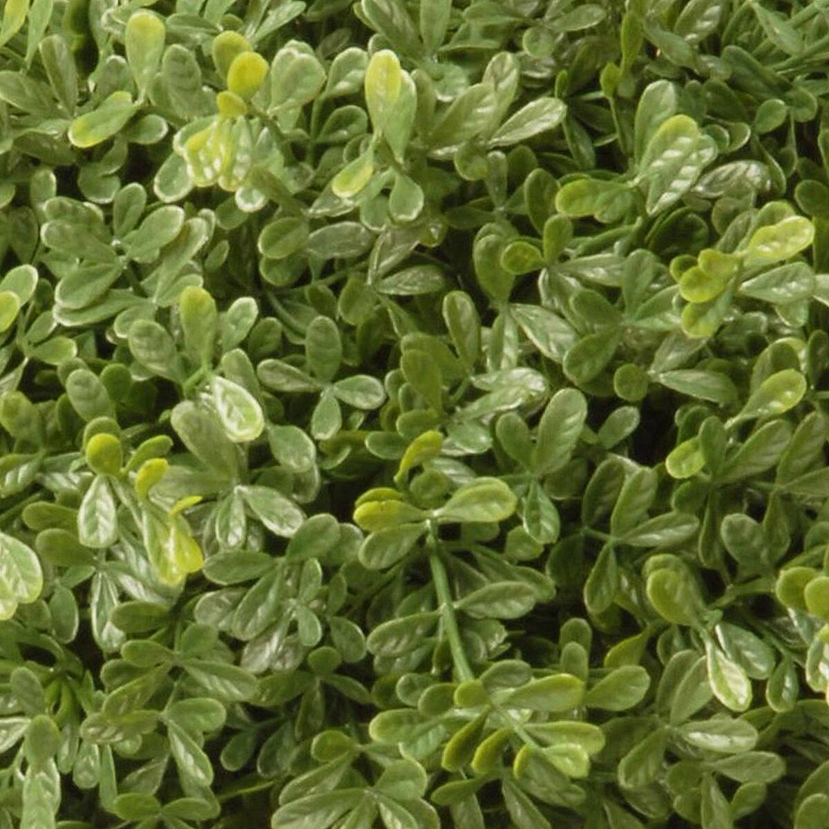 4ft. Mini Tea Leaf Two-Ball Topiary