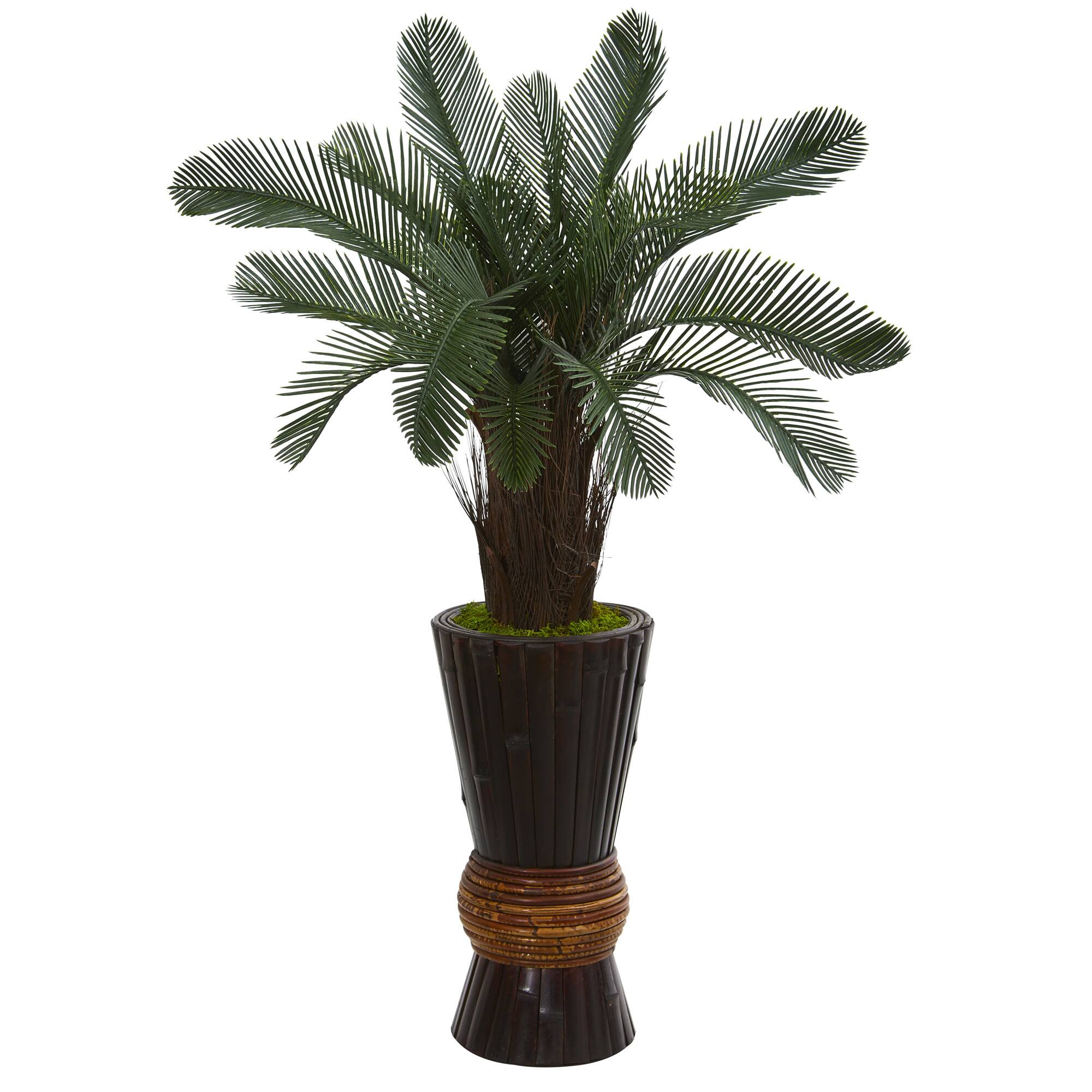 3.5ft. Cycas in Bamboo Planter