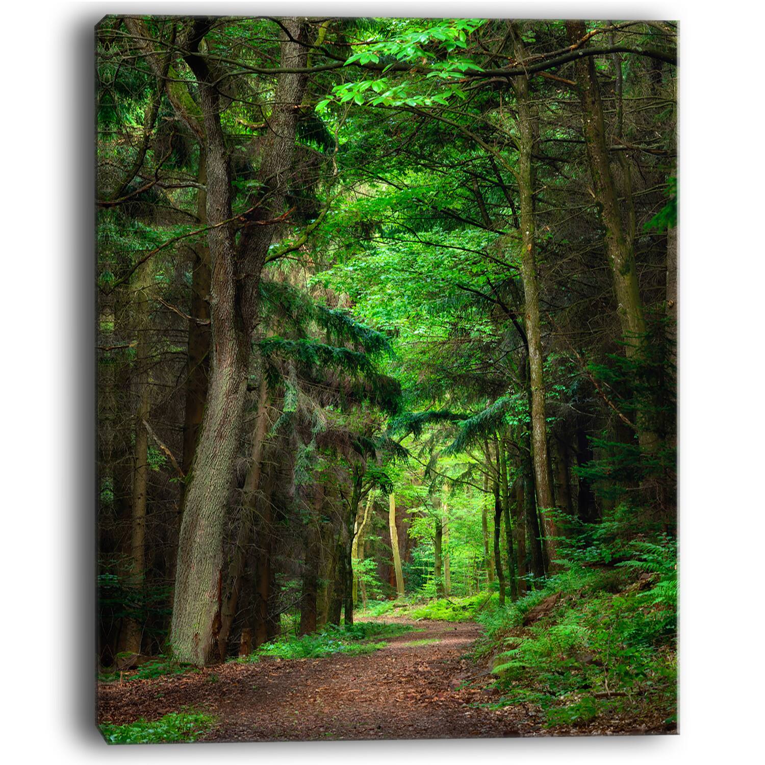 Designart - Dreamy Greenery in Dense Forest - Forest Canvas Art Print