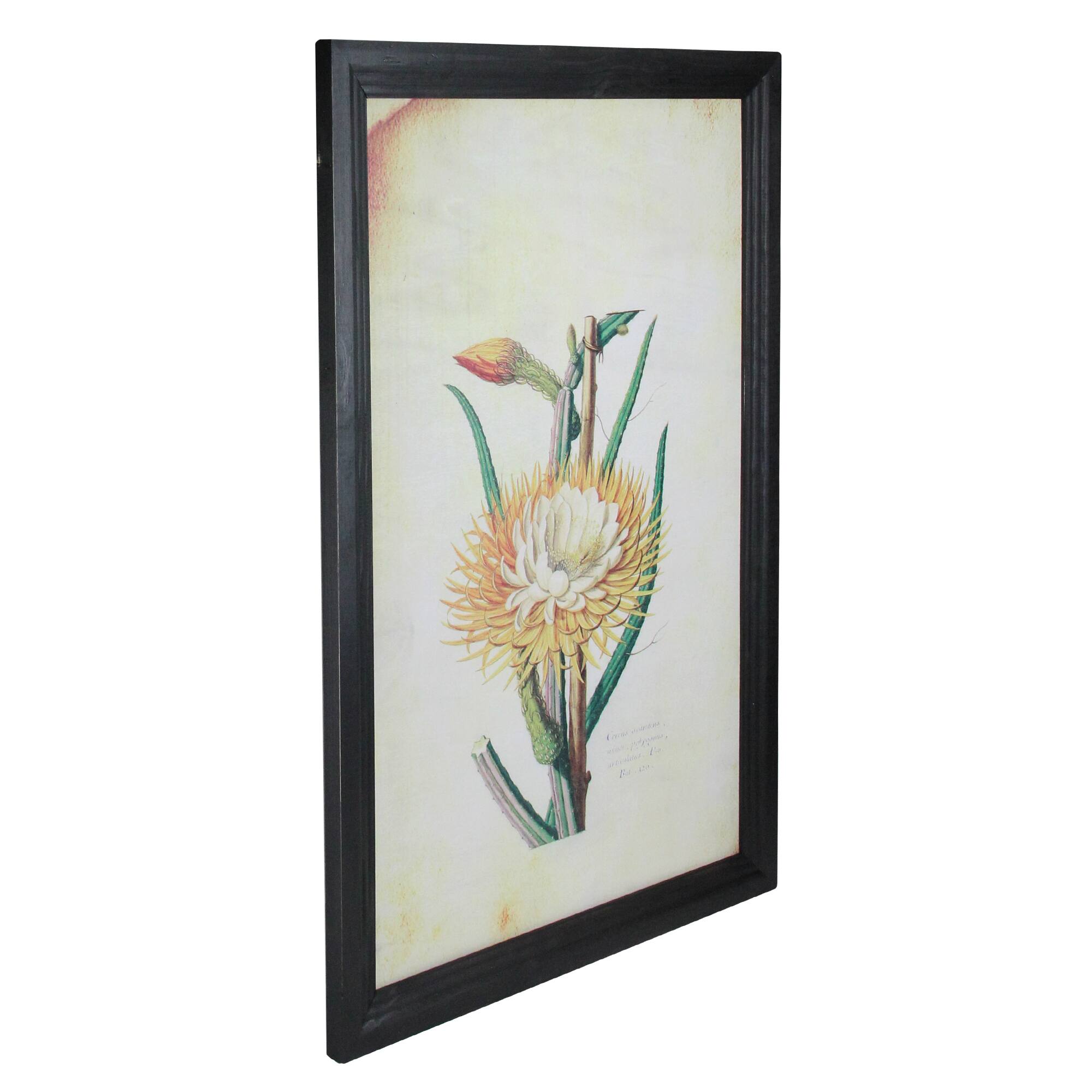 26" Yellow & Green Desert Baileya Flower Framed Wall Art
