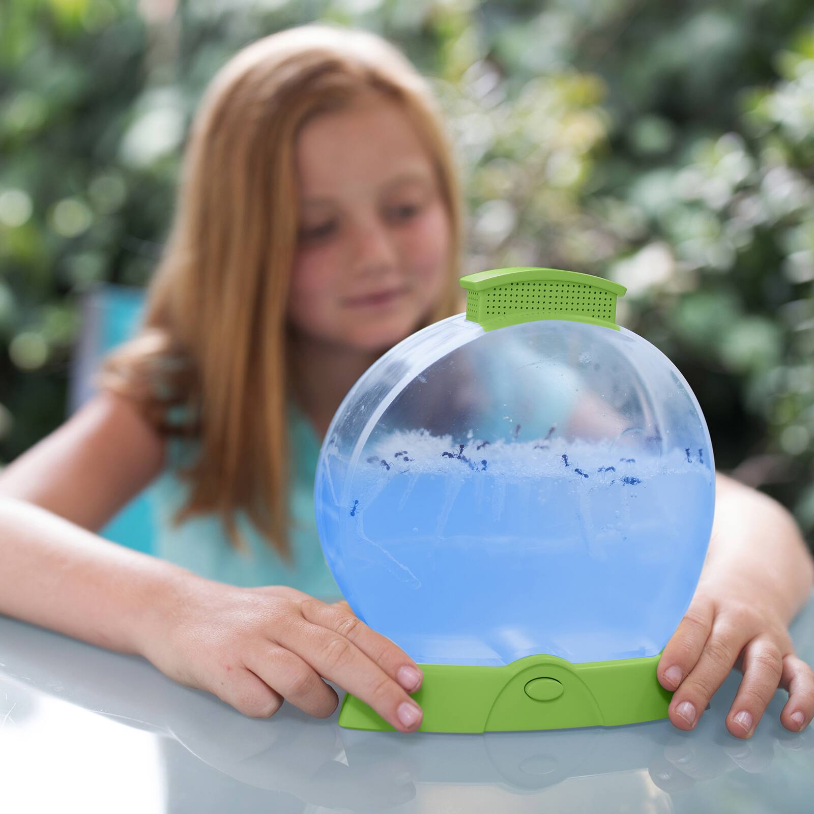 Educational Insights® Geosafari® Day 'N' Night Ant Factory