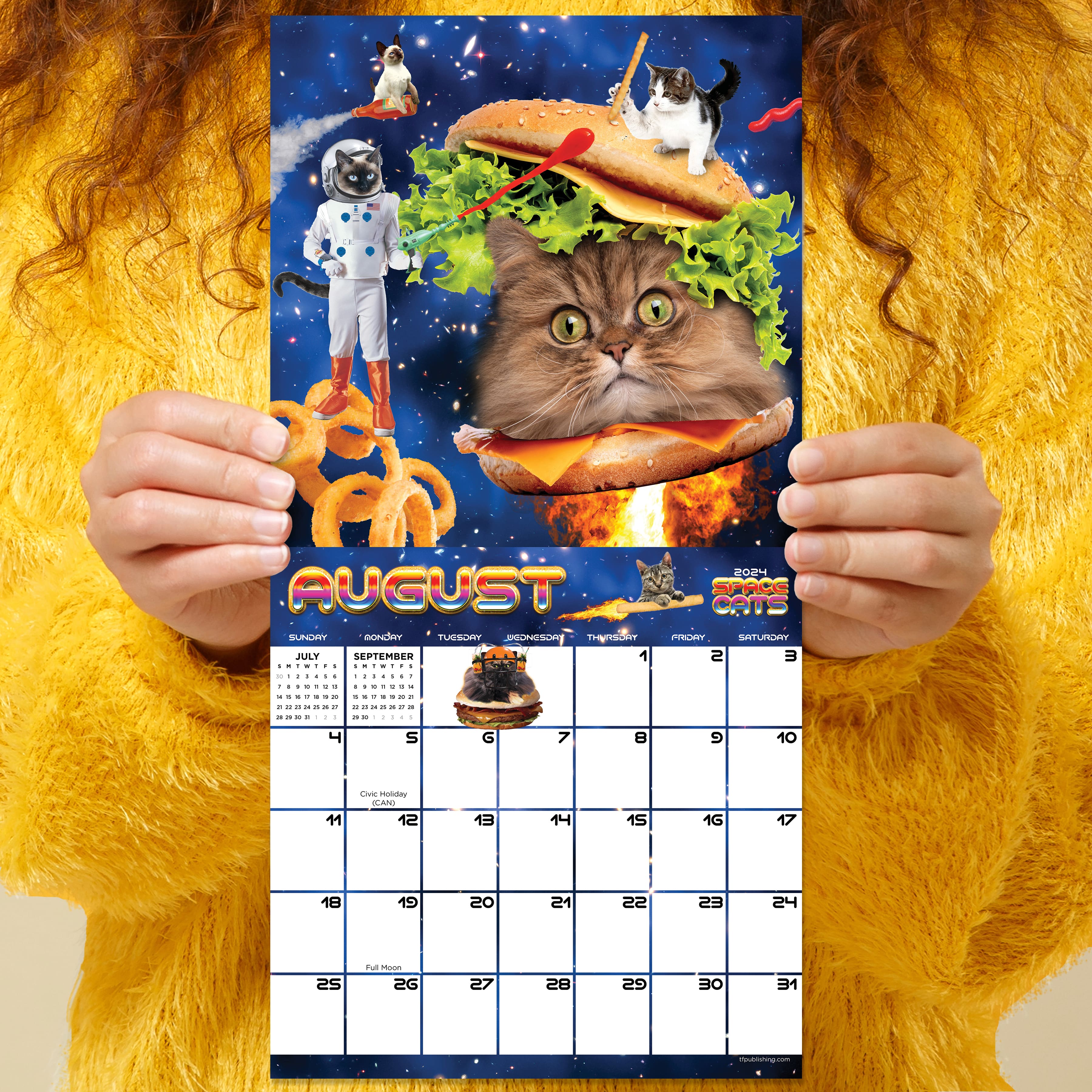 TF Publishing Space Cats Mini Calendar