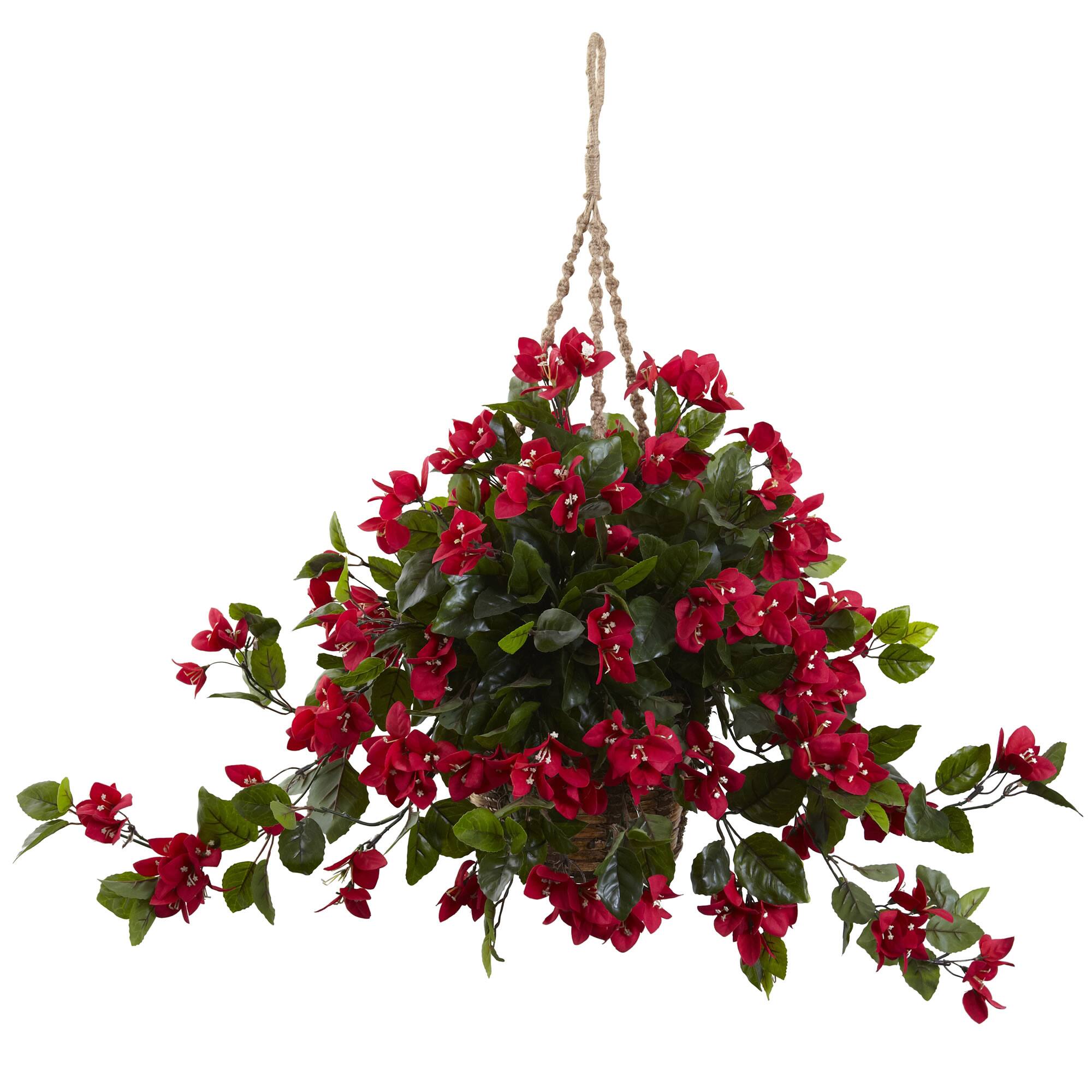 2.5ft. Bougainvillea Hanging Basket