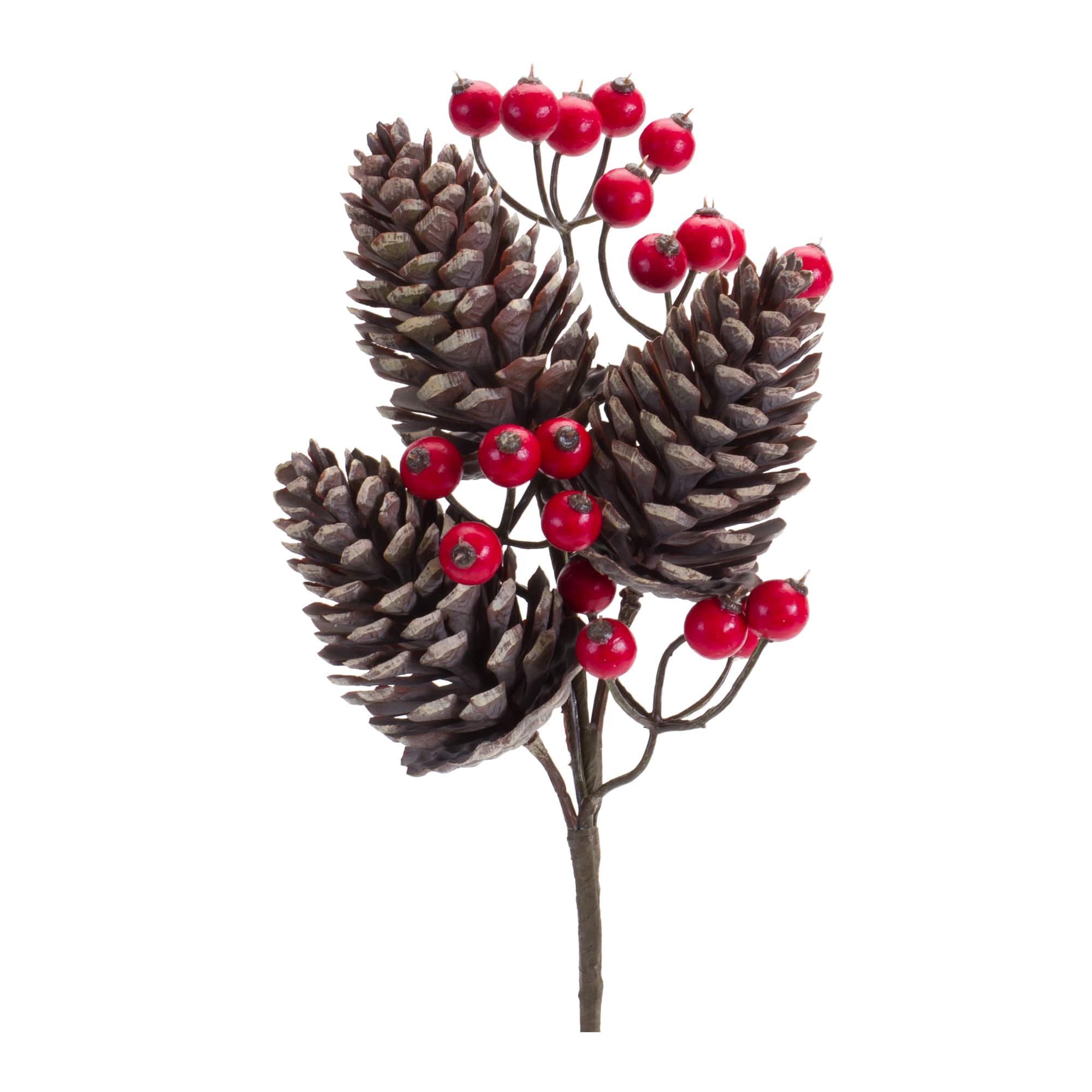 Pinecone and Red Berry Pick