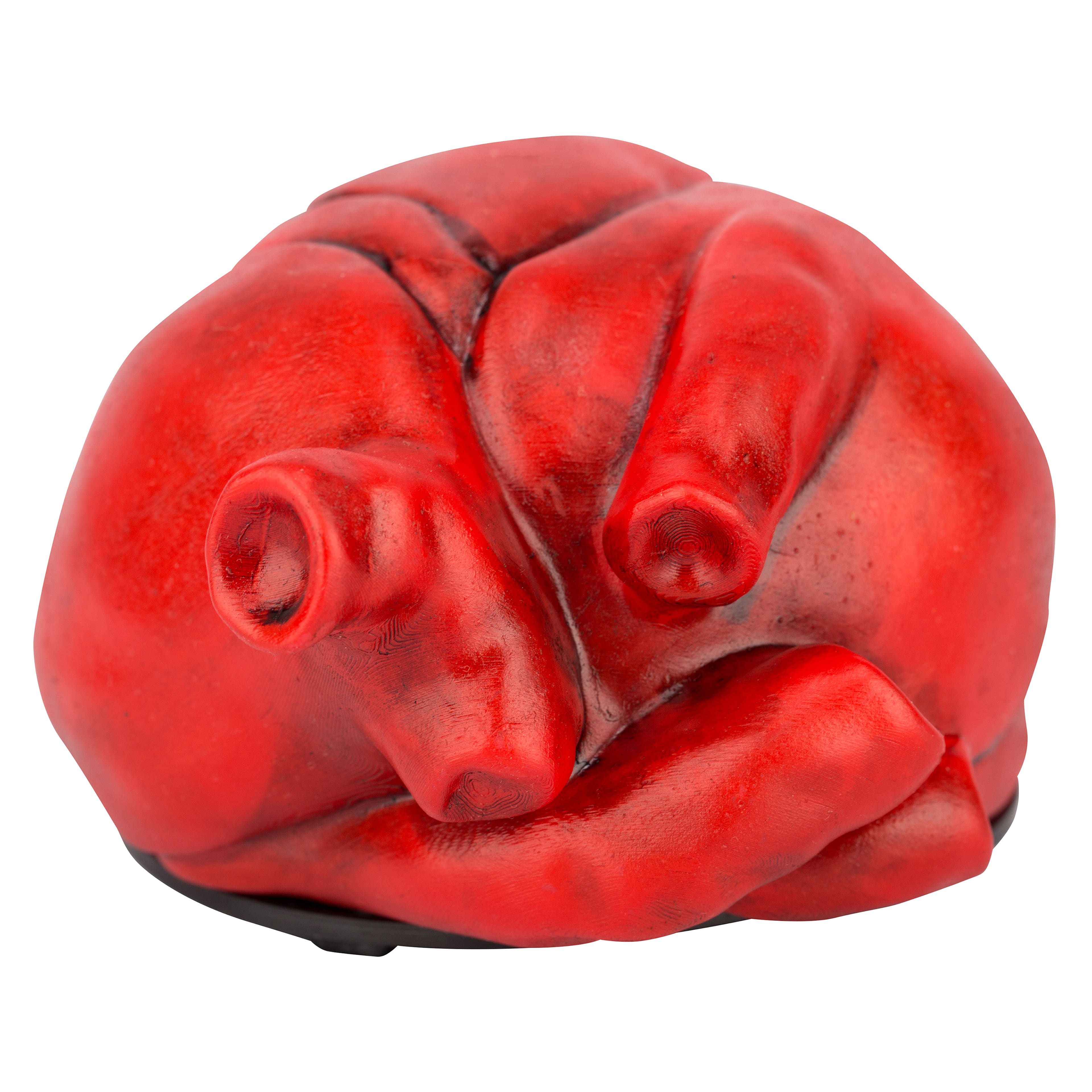 5.7&#x22; Animated Beating Heart by Ashland&#xAE;