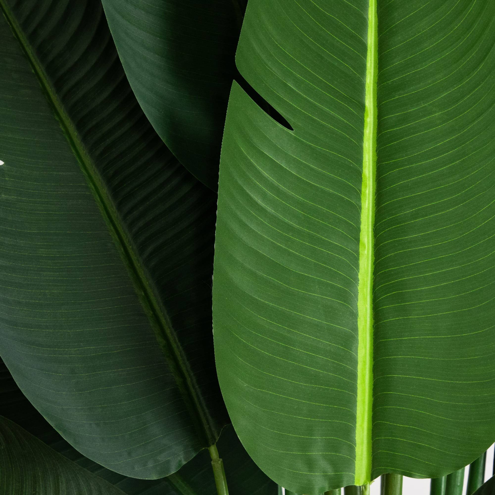 11ft. Artificial Travelers Palm Tree