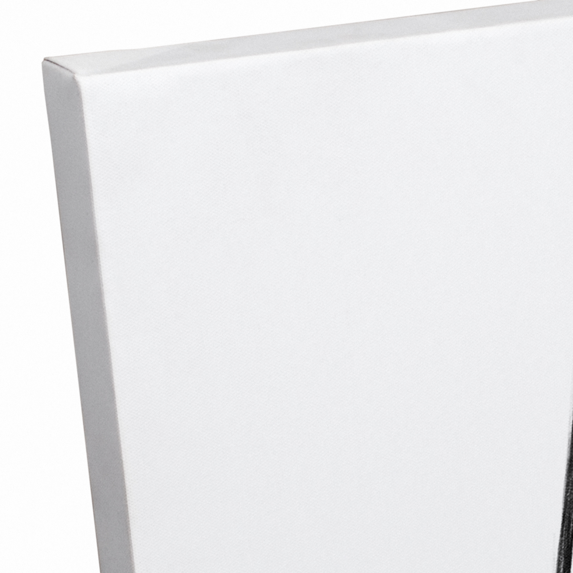 Terrarium 16" x 16" Canvas Wall Art