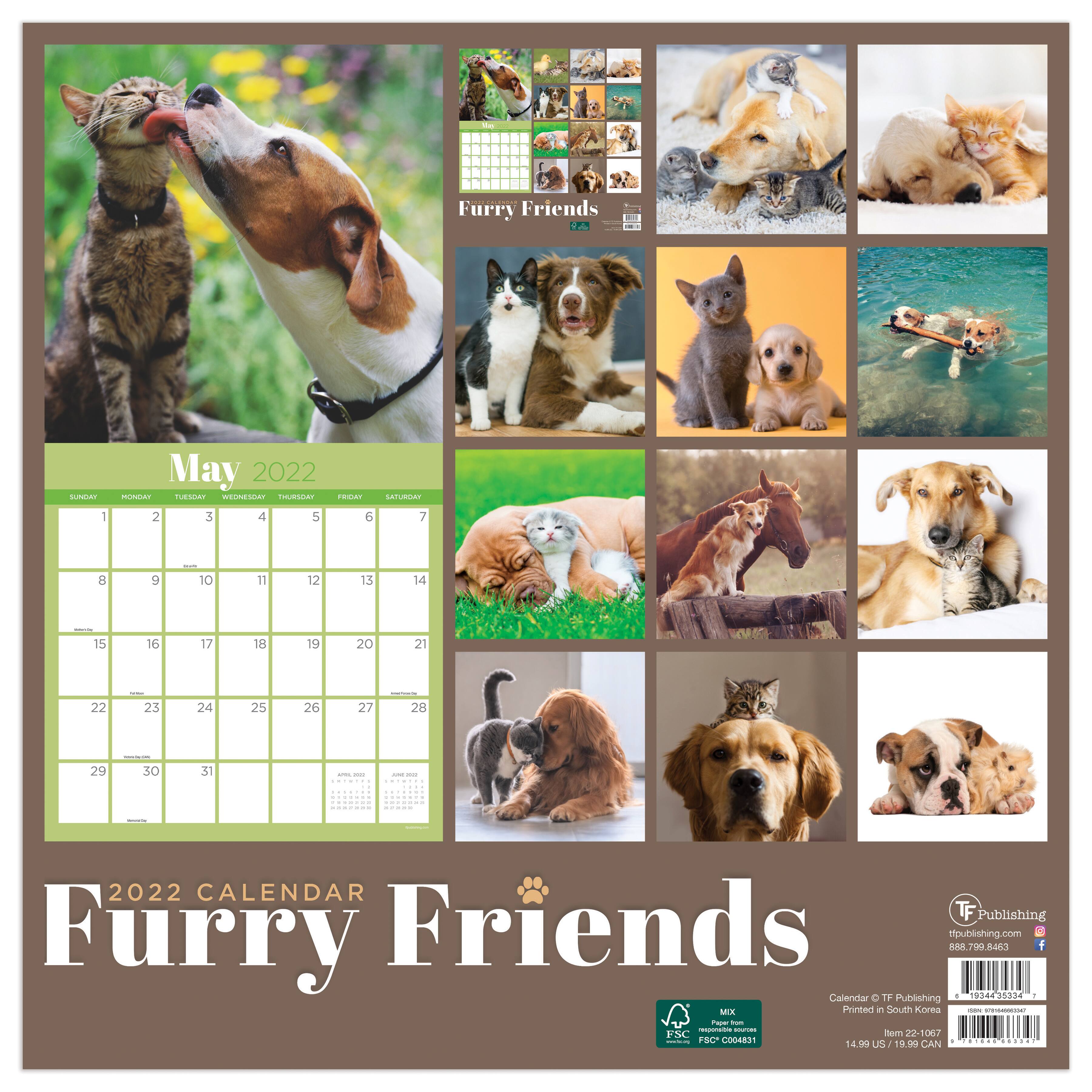 Tf Publishing 2022 Furry Friends Wall Calendar Michaels Furries Calendar 2022