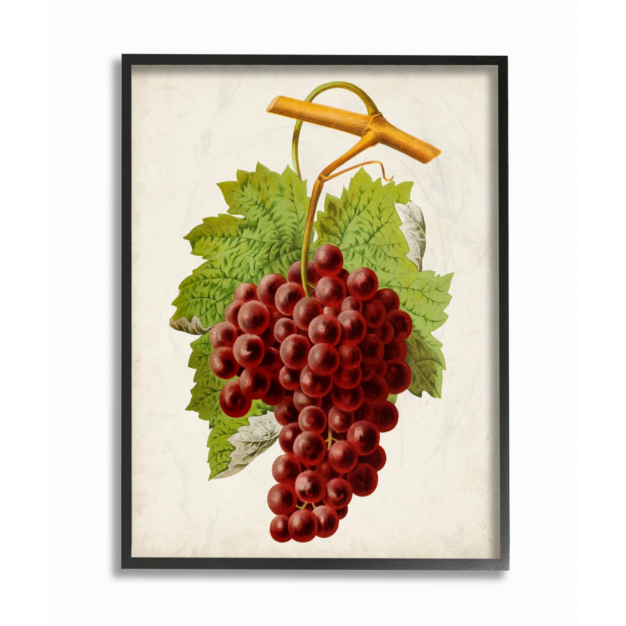 Stupell Industries Vintage Food Fruit Painting in Black Frame Wall Art