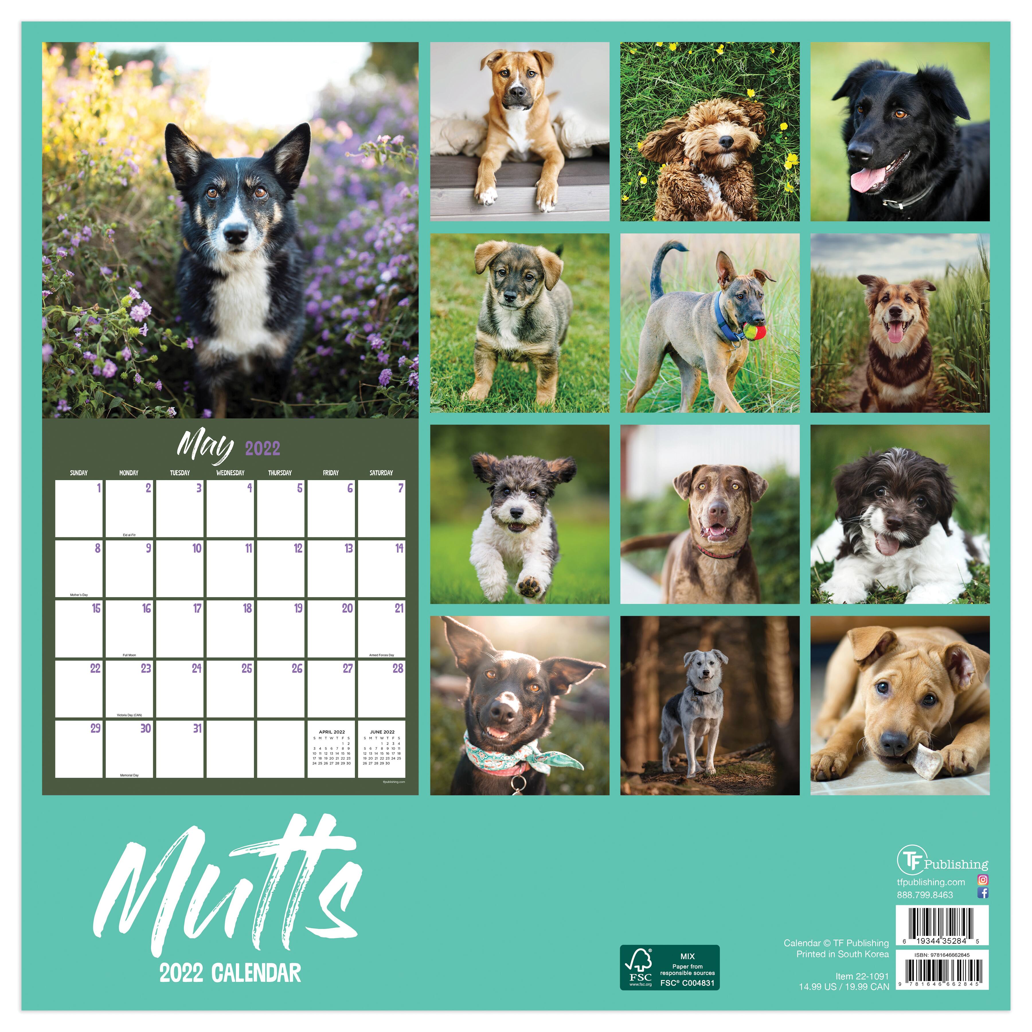 2022 Mutts Wall Calendar | Michaels