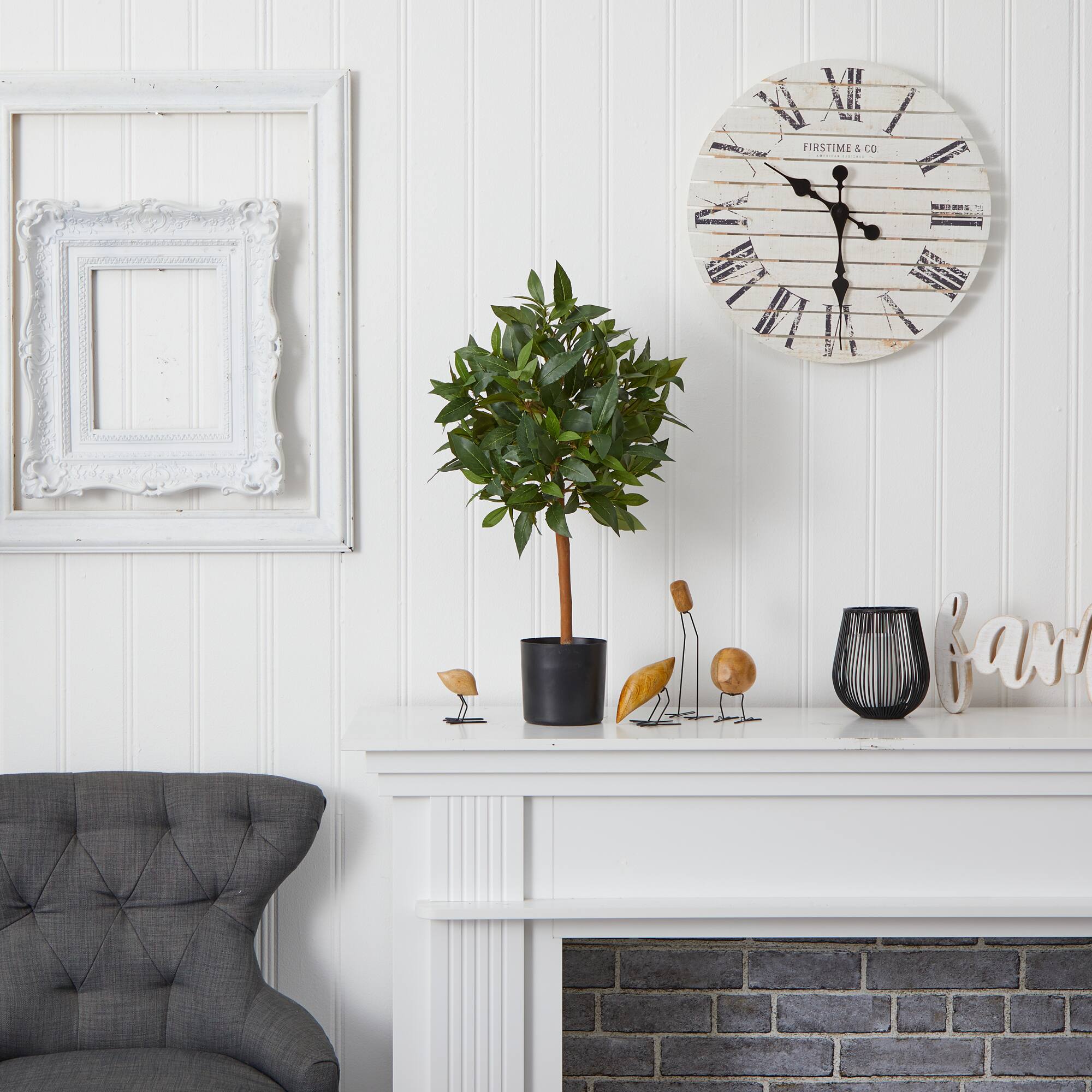 2ft. Potted Sweet Bay Mini Ball Topiary Tree