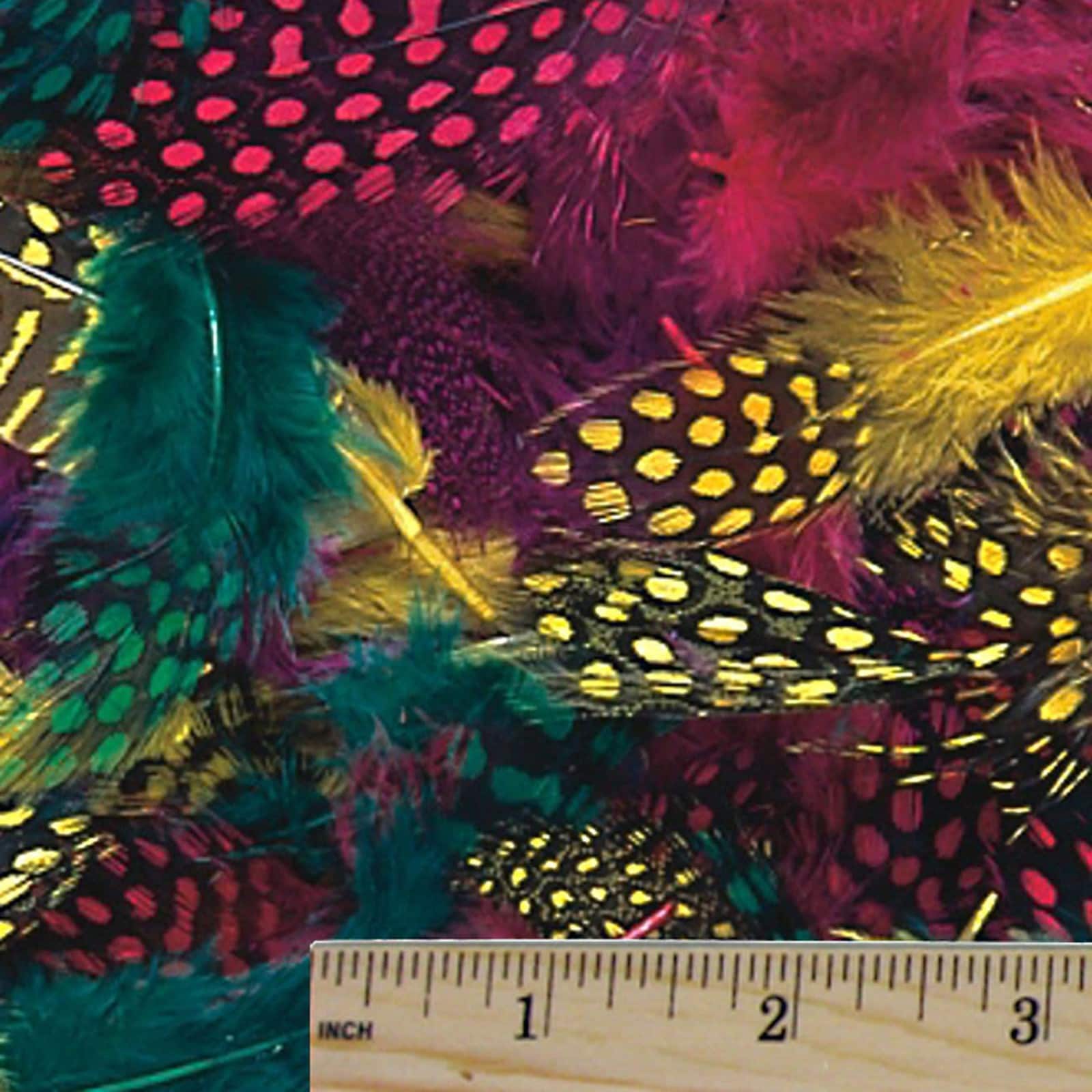 Bemiss Jason Colored Craft Feathers