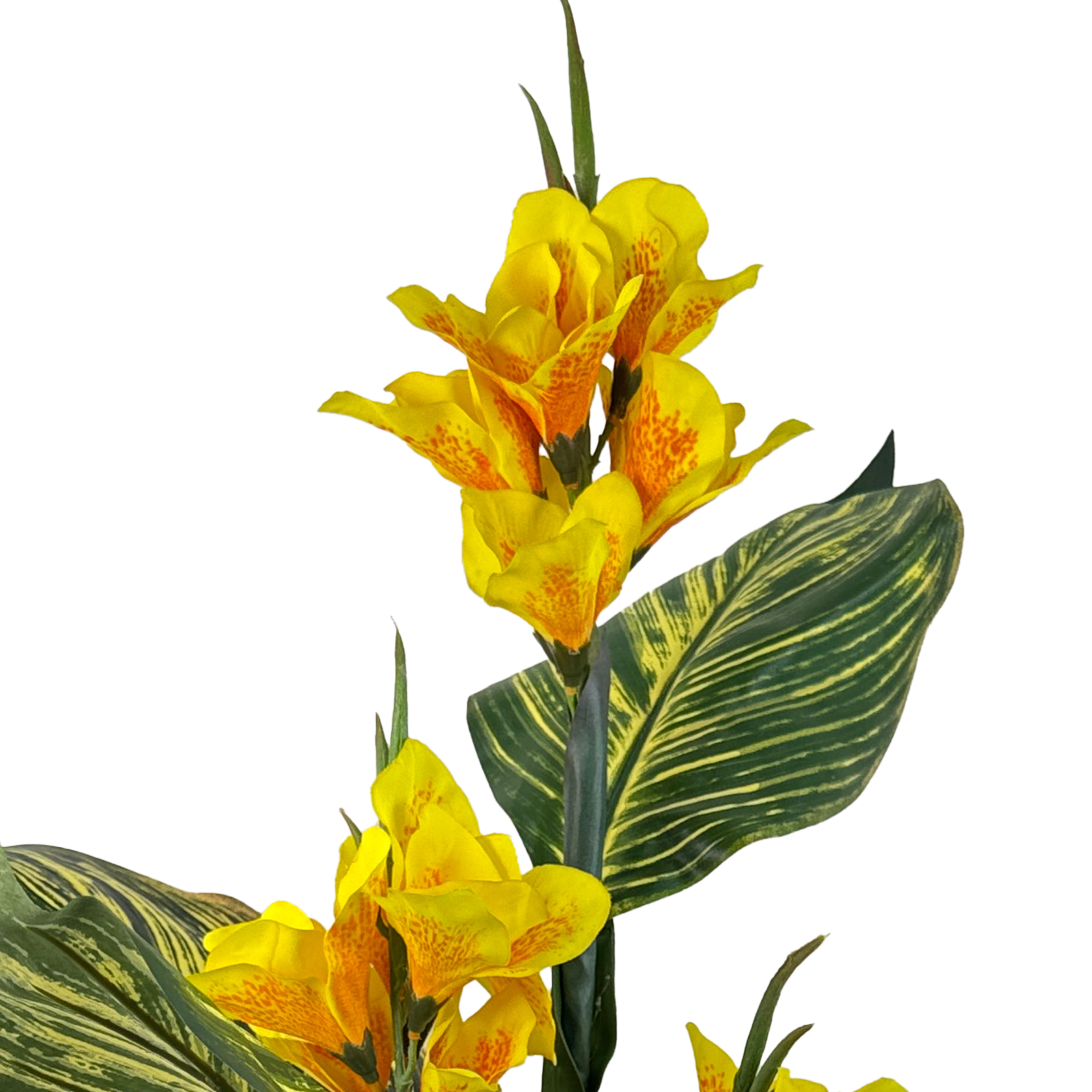 3.5ft. Potted Yellow Canna Lily Plant by Ashland&#xAE;