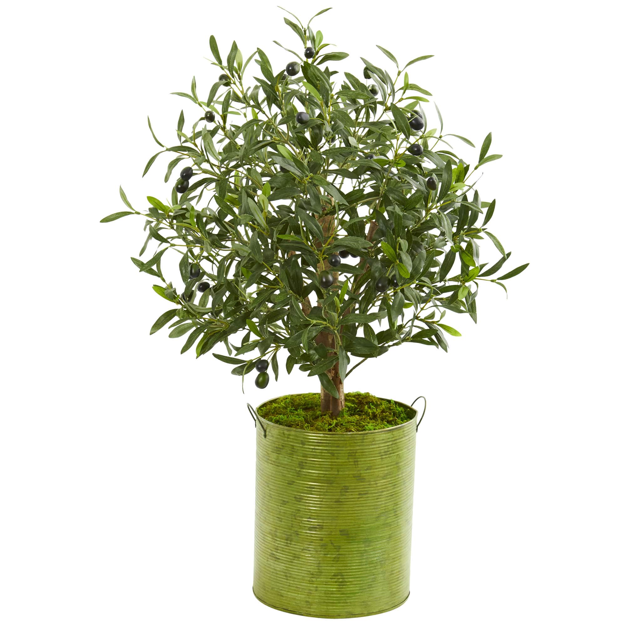 3ft. Olive Tree in Green Metal Planter