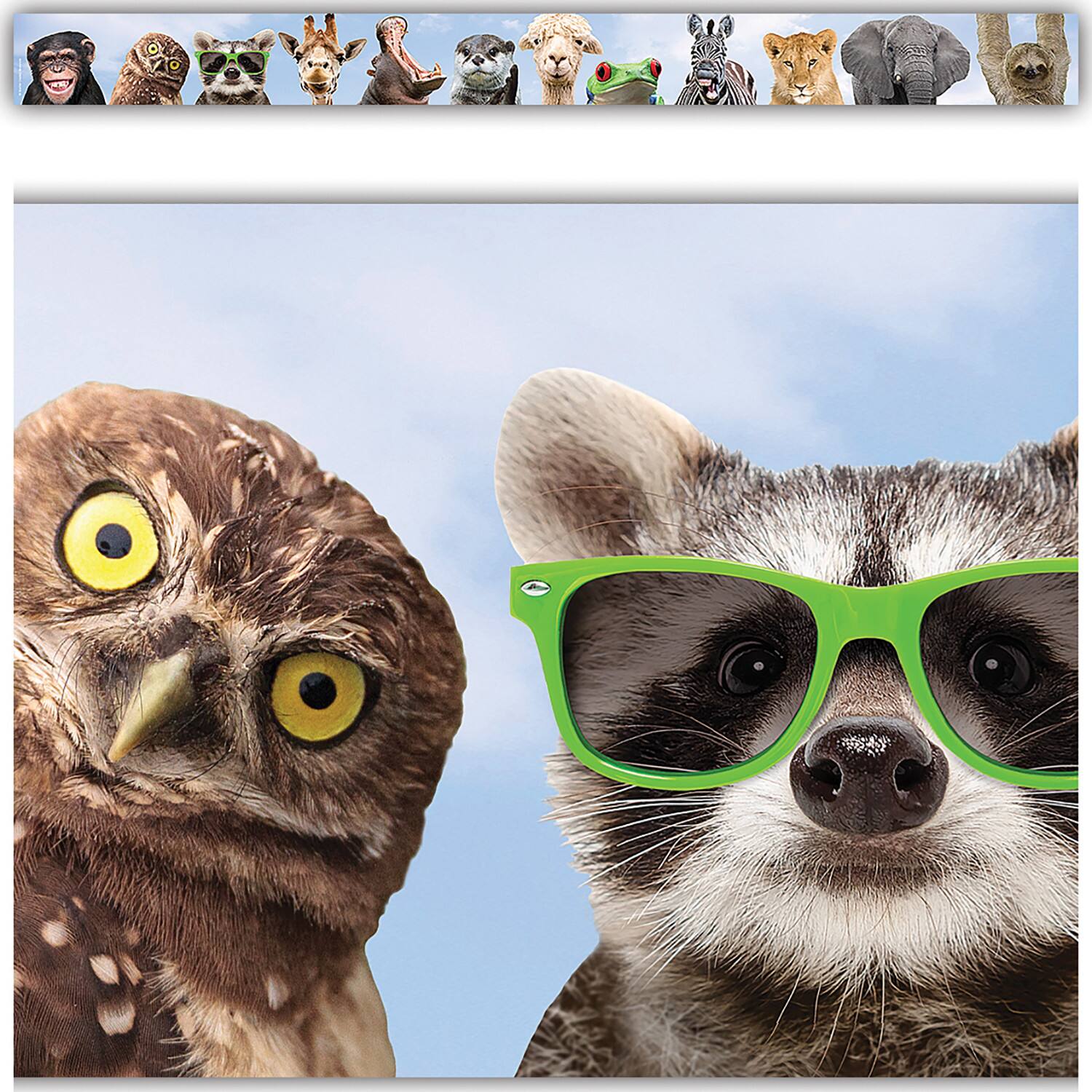 Teacher Created Resources® Go Wild Animals Straight Border Trim, 6 Packs of 12