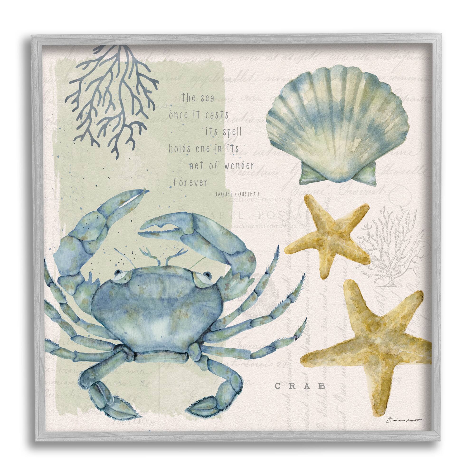 Stupell Industries Sea Casts Its Spell Quote Blue Crab Seashells Framed  Wall Art