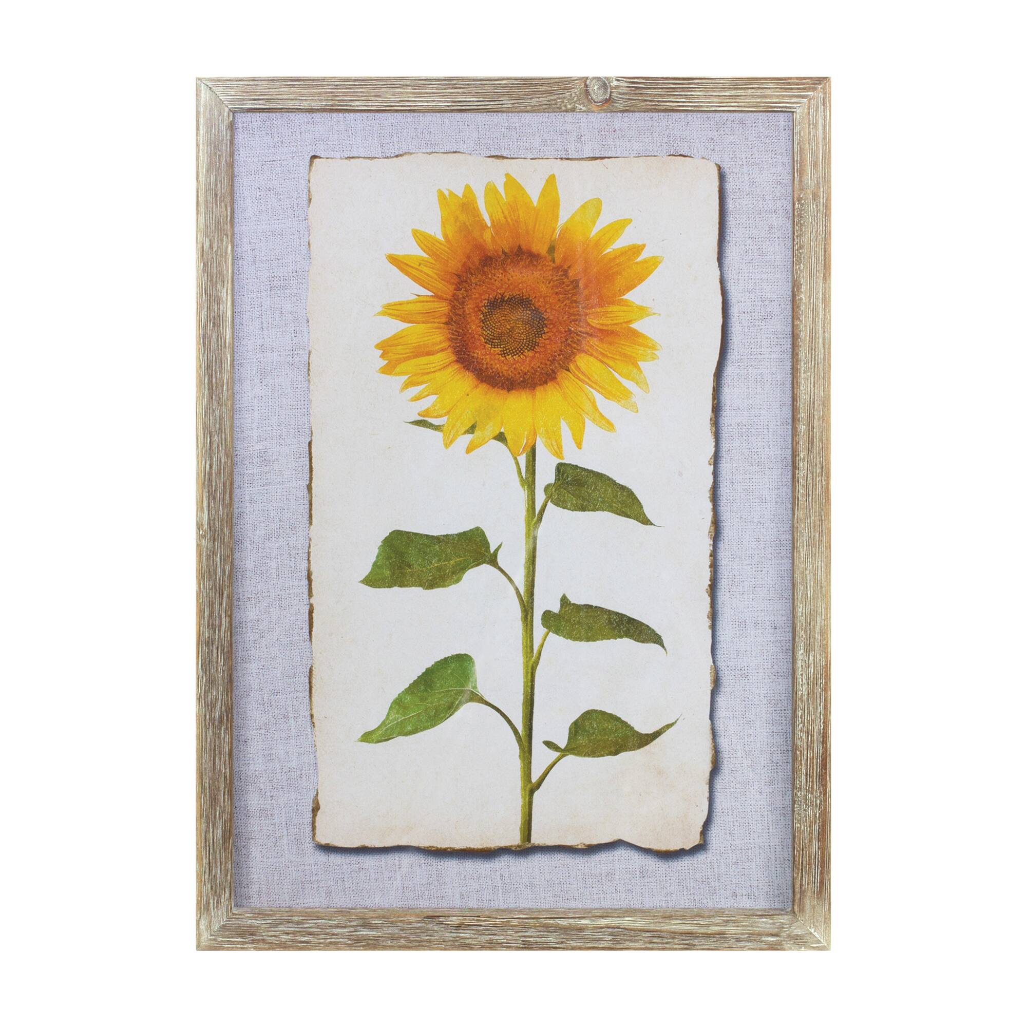 17" Framed Sunflower Print Set