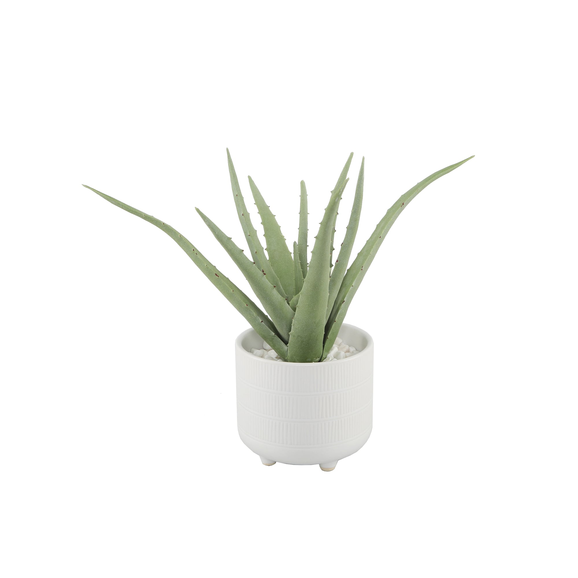 Flora Bunda® 10" Aloe In 5" Barcode Footed Ceramic Pot