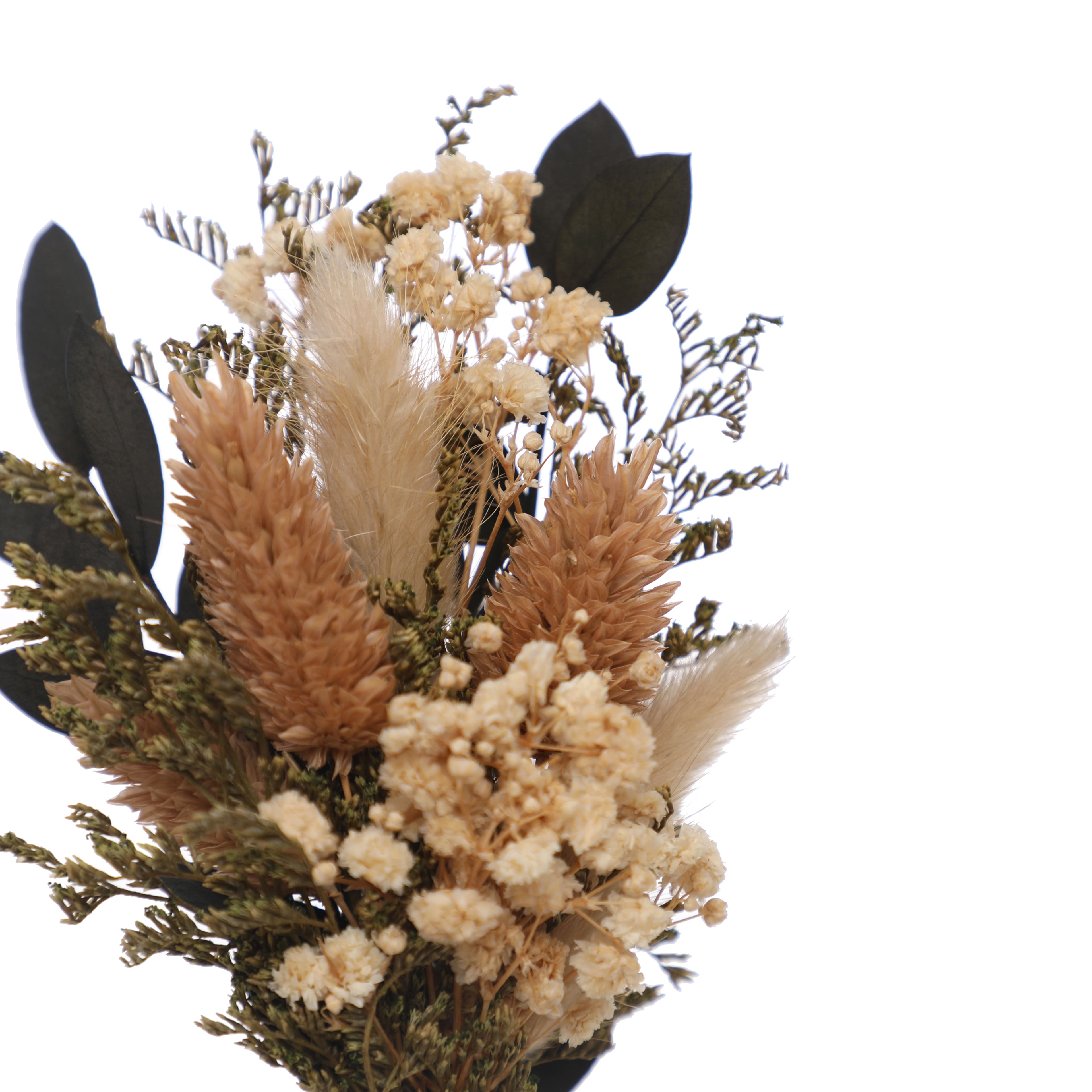 7&#x22; Dried Mixed Mini Bundle by Ashland&#xAE;