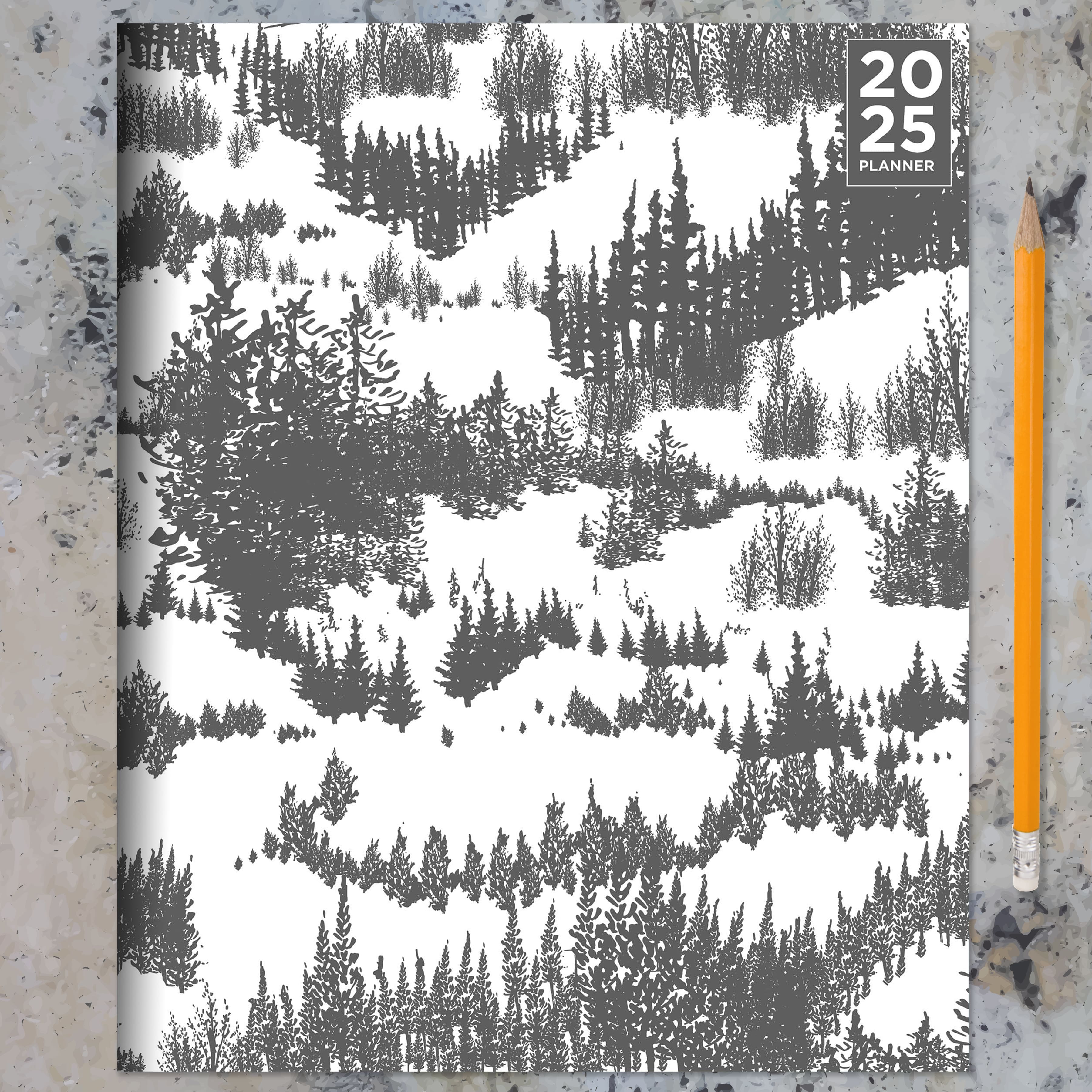 TF Publishing 2025 Gray Forest Medium Monthly Planner