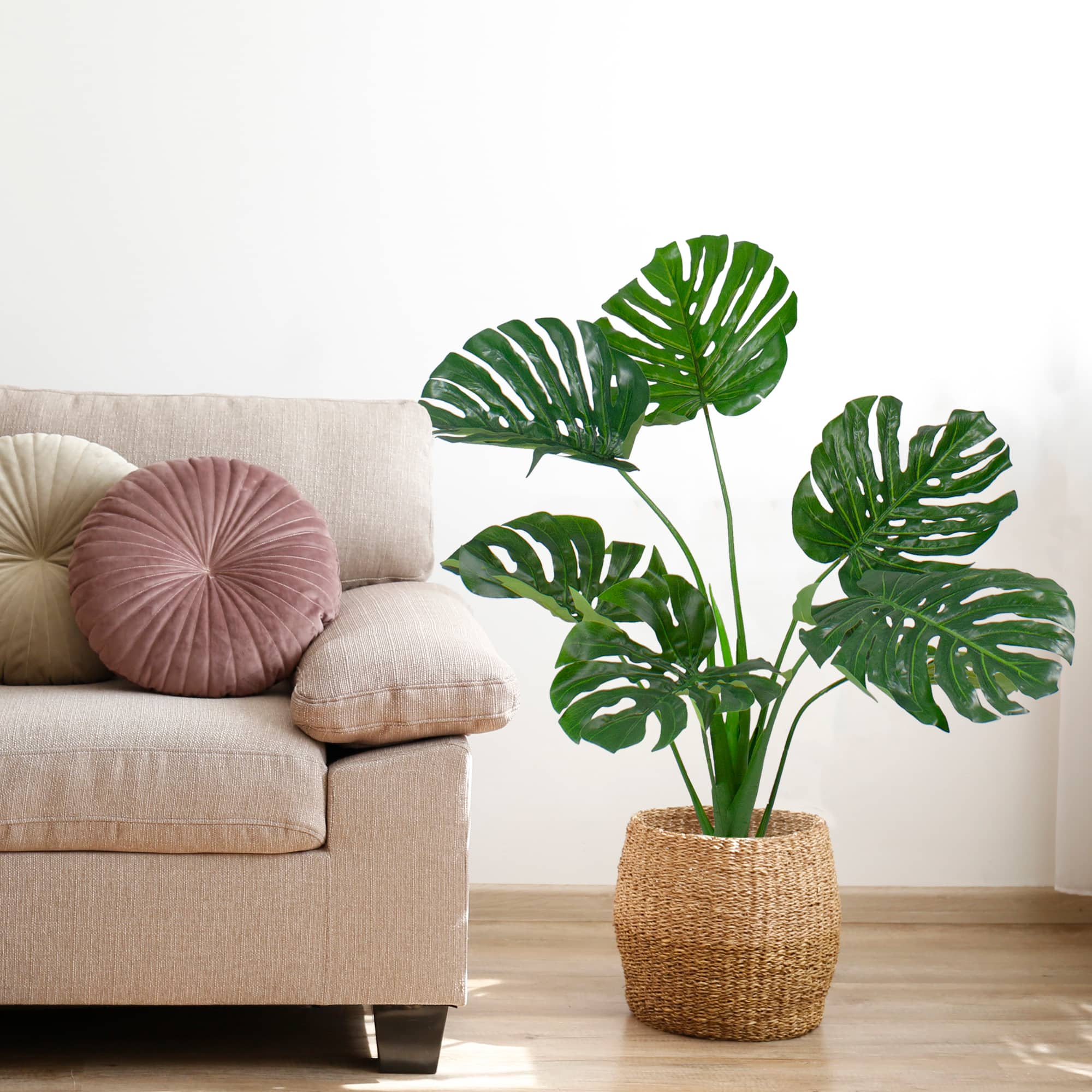 2.9ft. Potted Wide Leaf Monstera Floor Plant